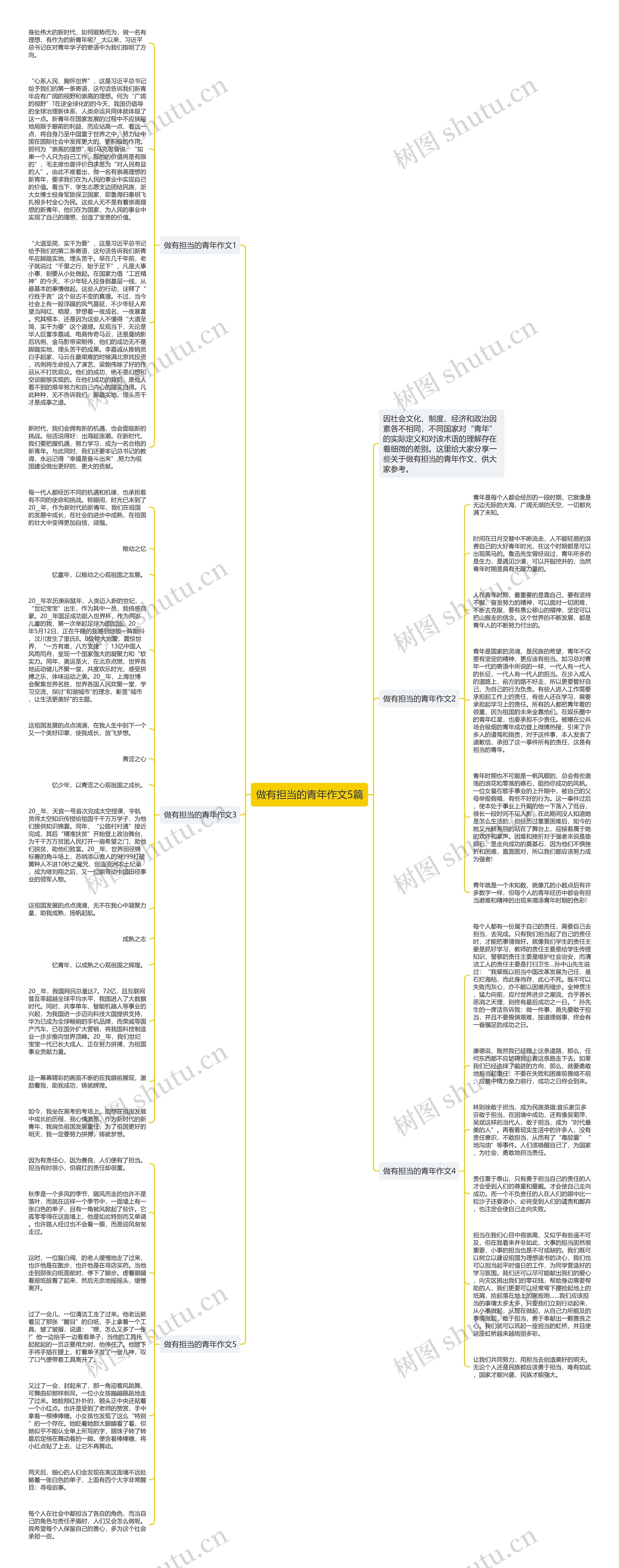 做有担当的青年作文5篇思维导图