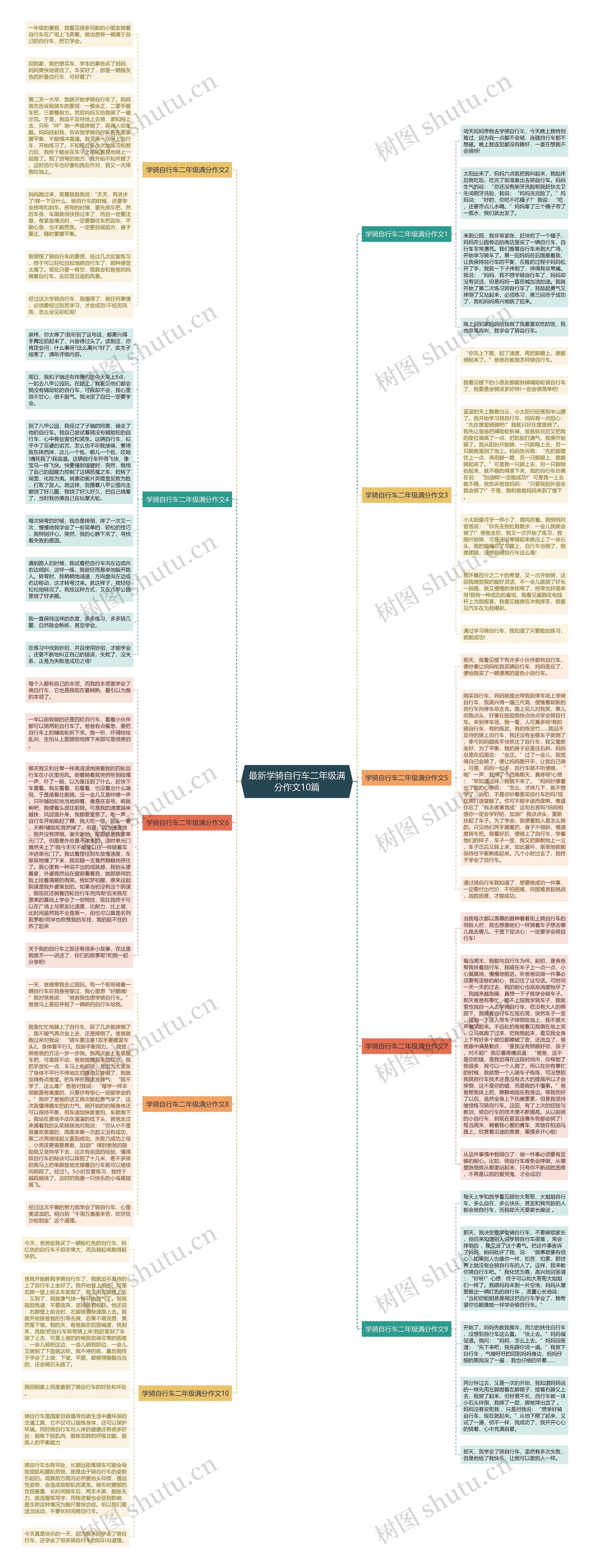 最新学骑自行车二年级满分作文10篇思维导图