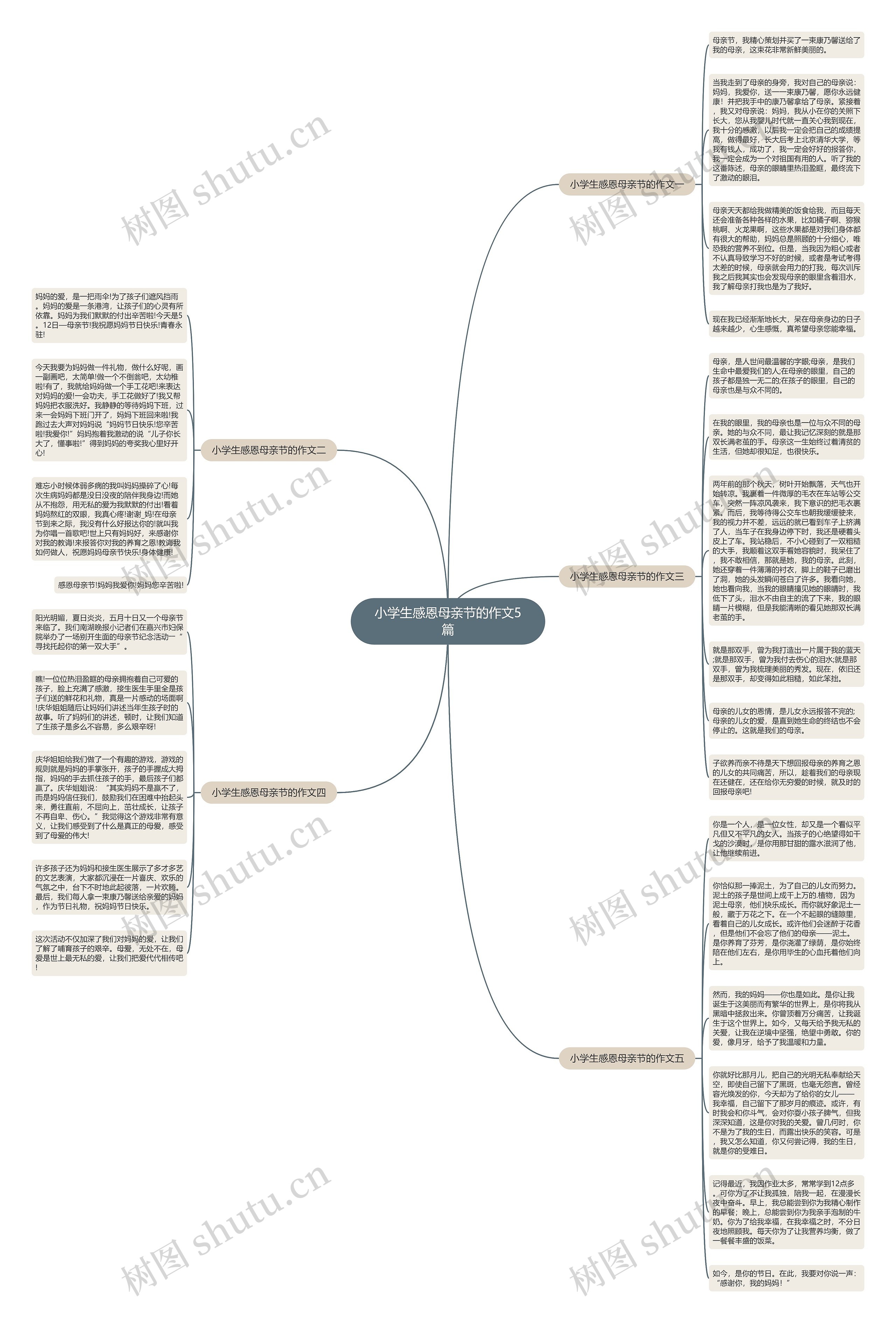 小学生感恩母亲节的作文5篇思维导图