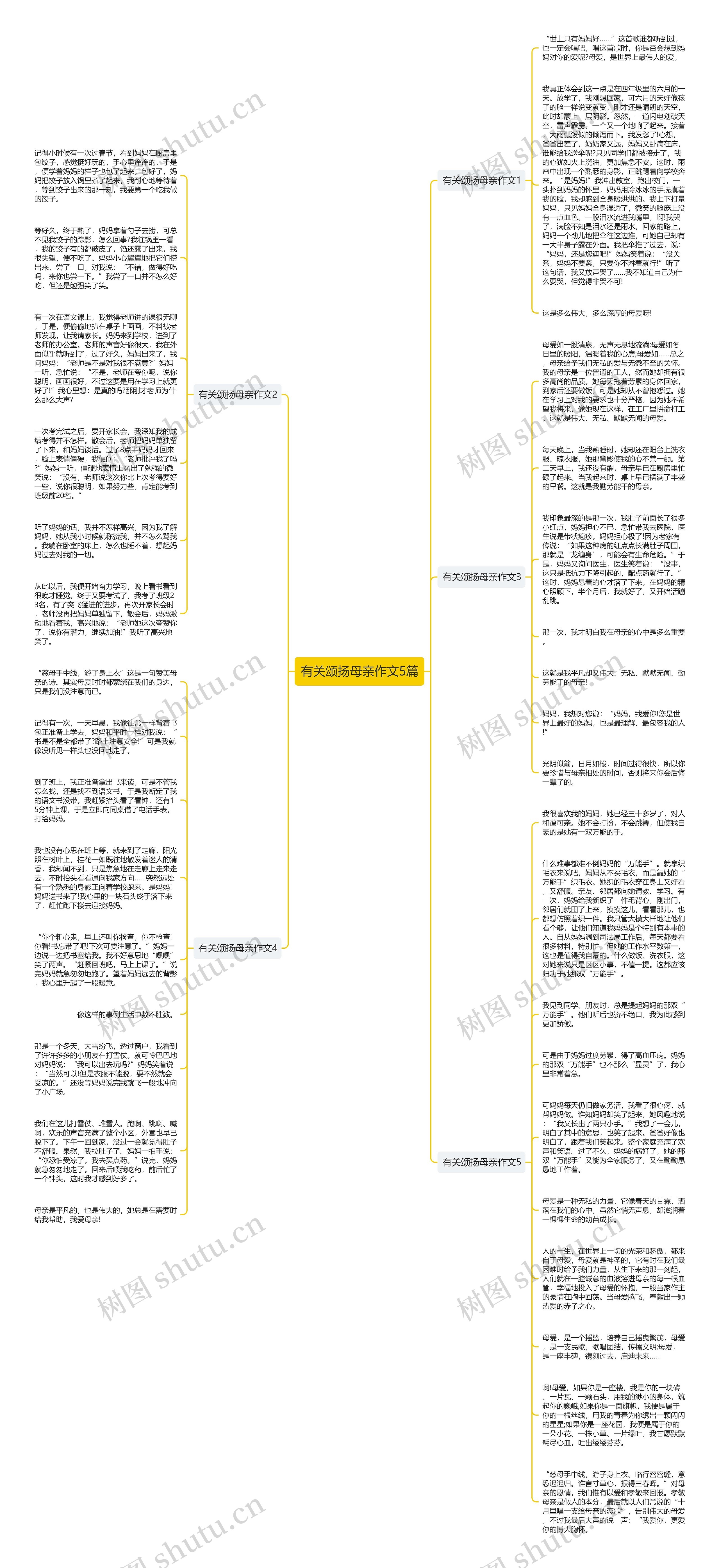 有关颂扬母亲作文5篇思维导图