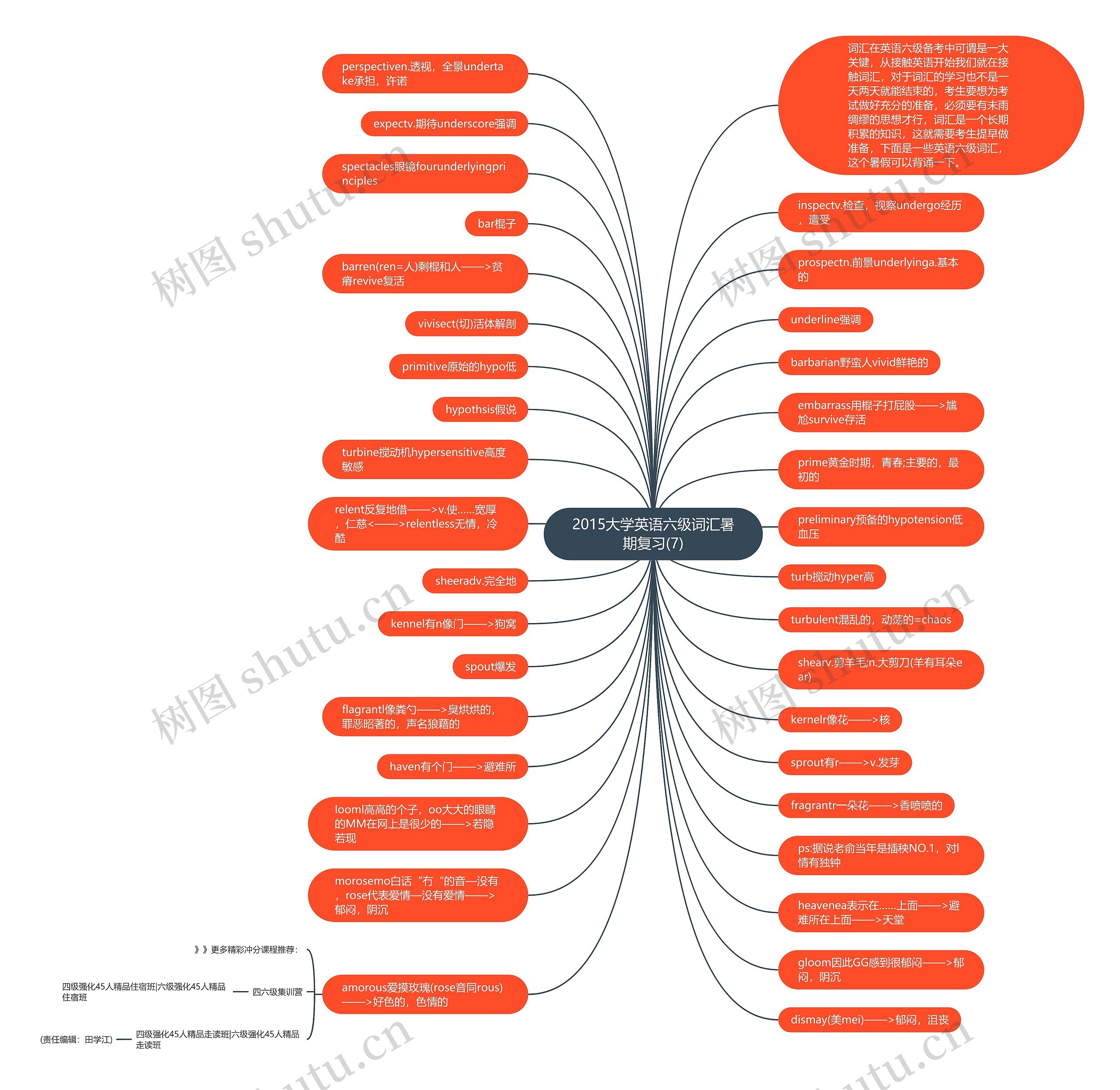 2015大学英语六级词汇暑期复习(7)思维导图