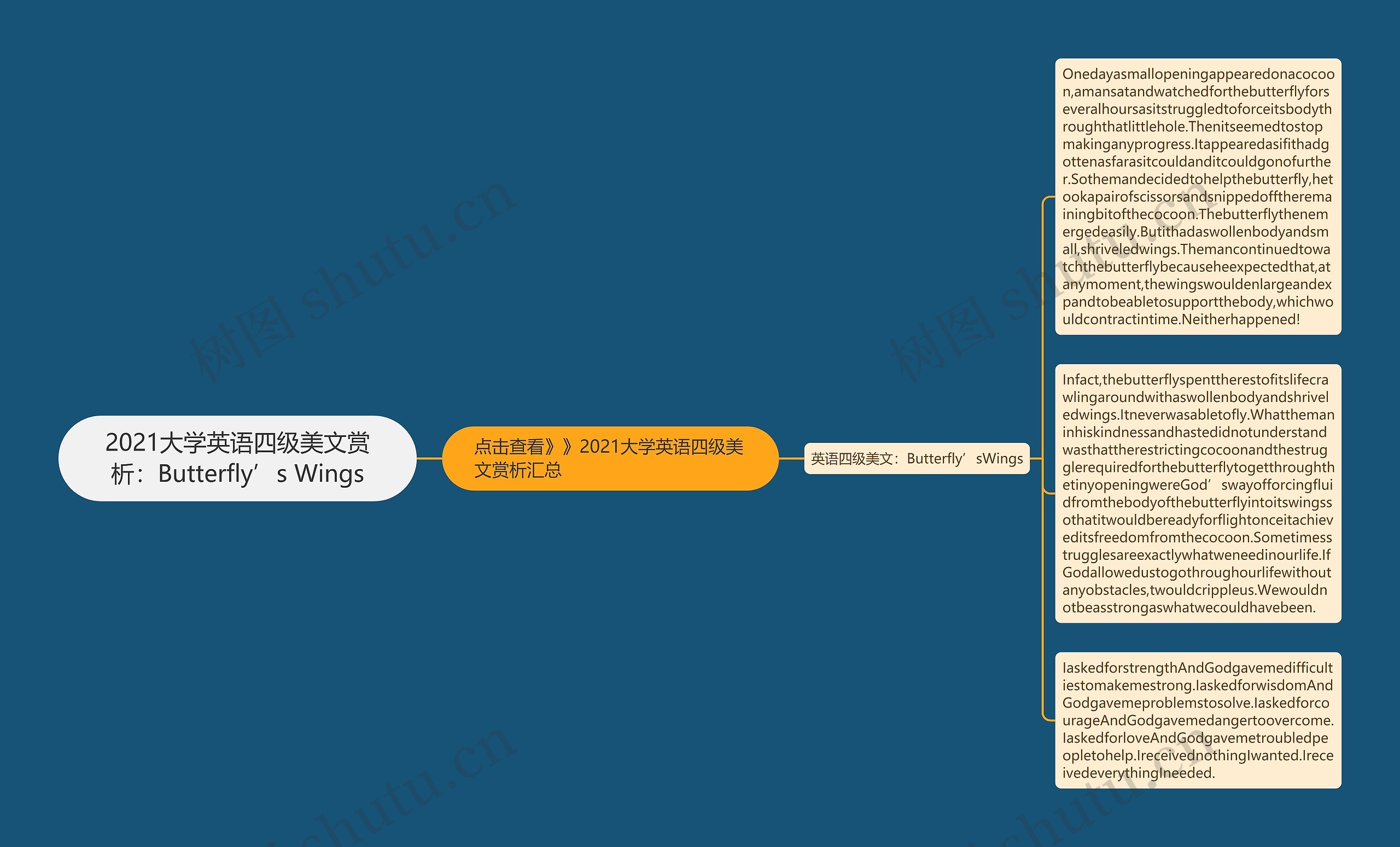 2021大学英语四级美文赏析：Butterfly’s Wings思维导图