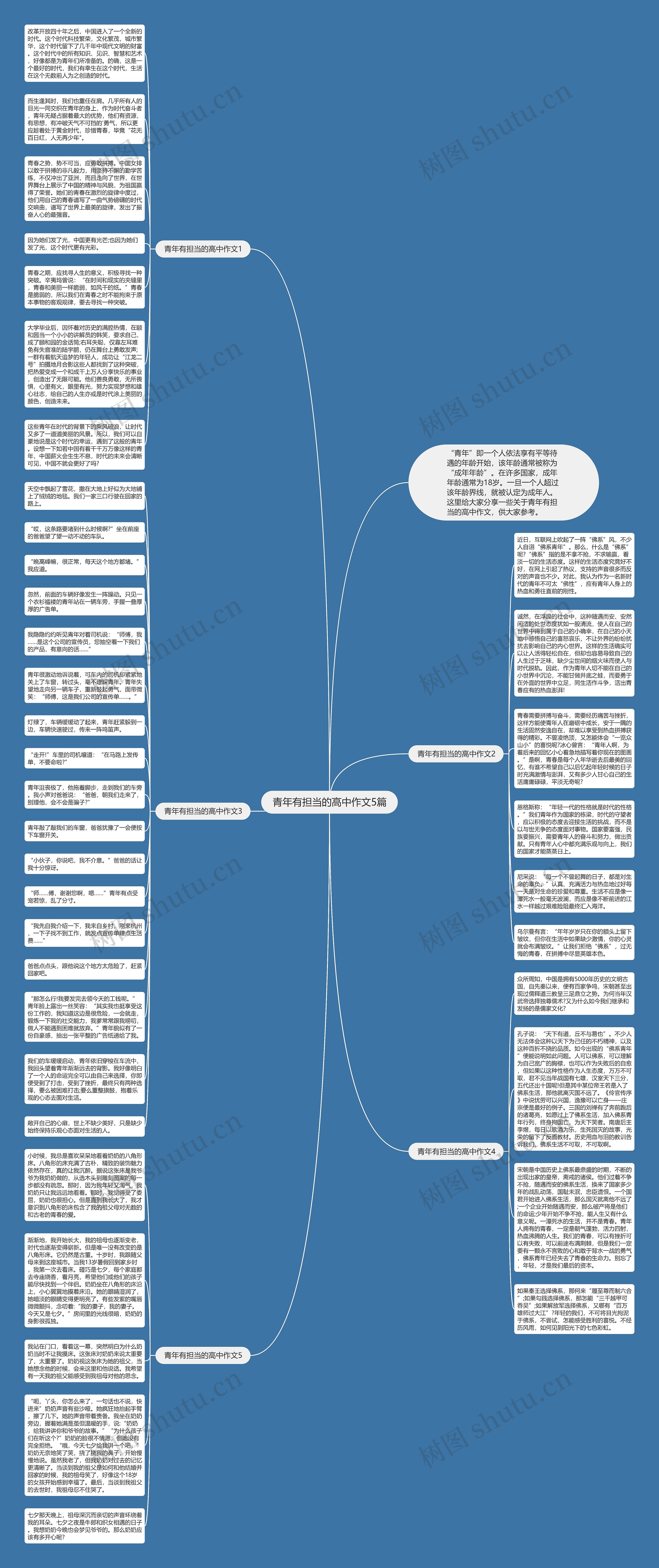 青年有担当的高中作文5篇思维导图