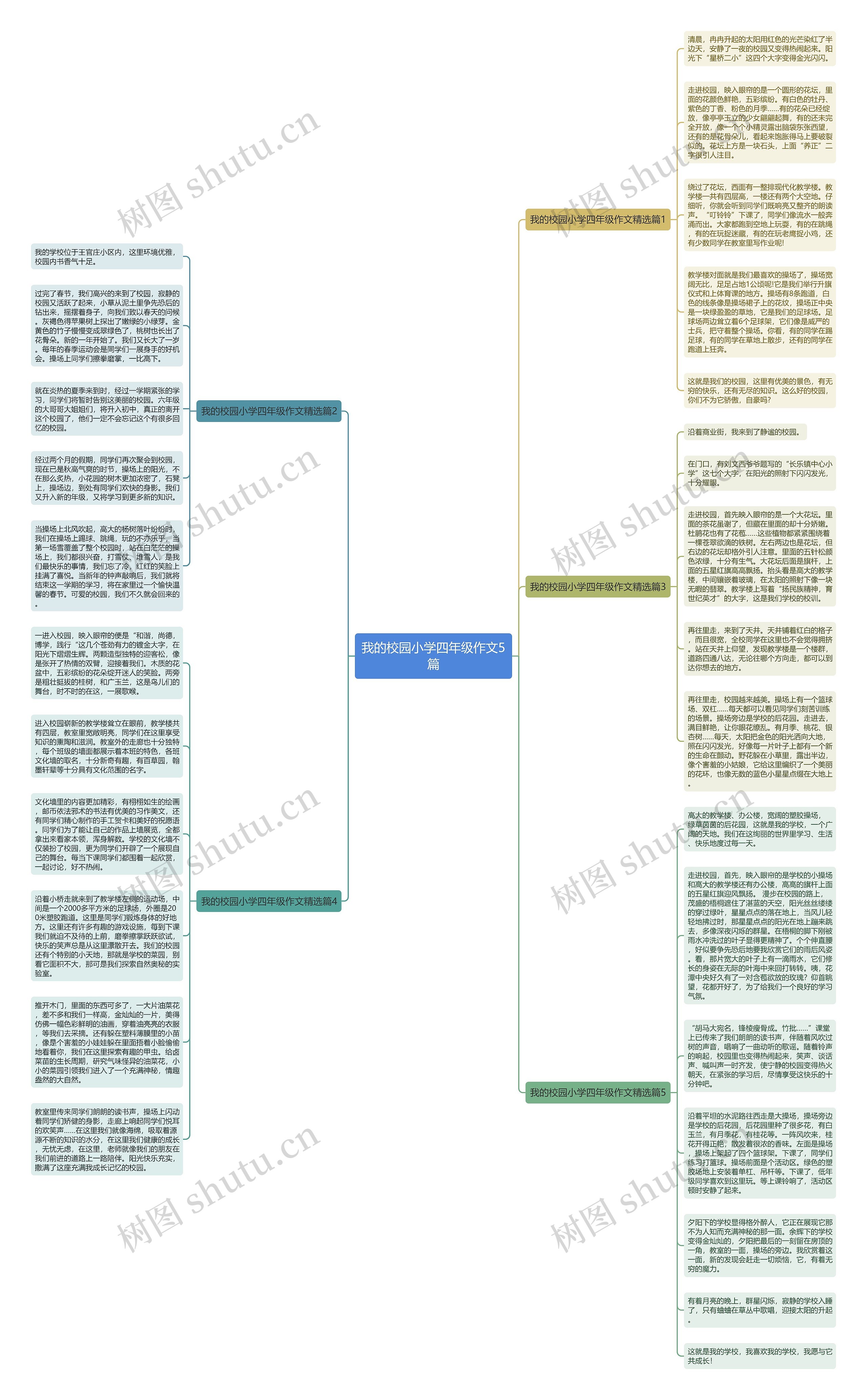 我的校园小学四年级作文5篇思维导图