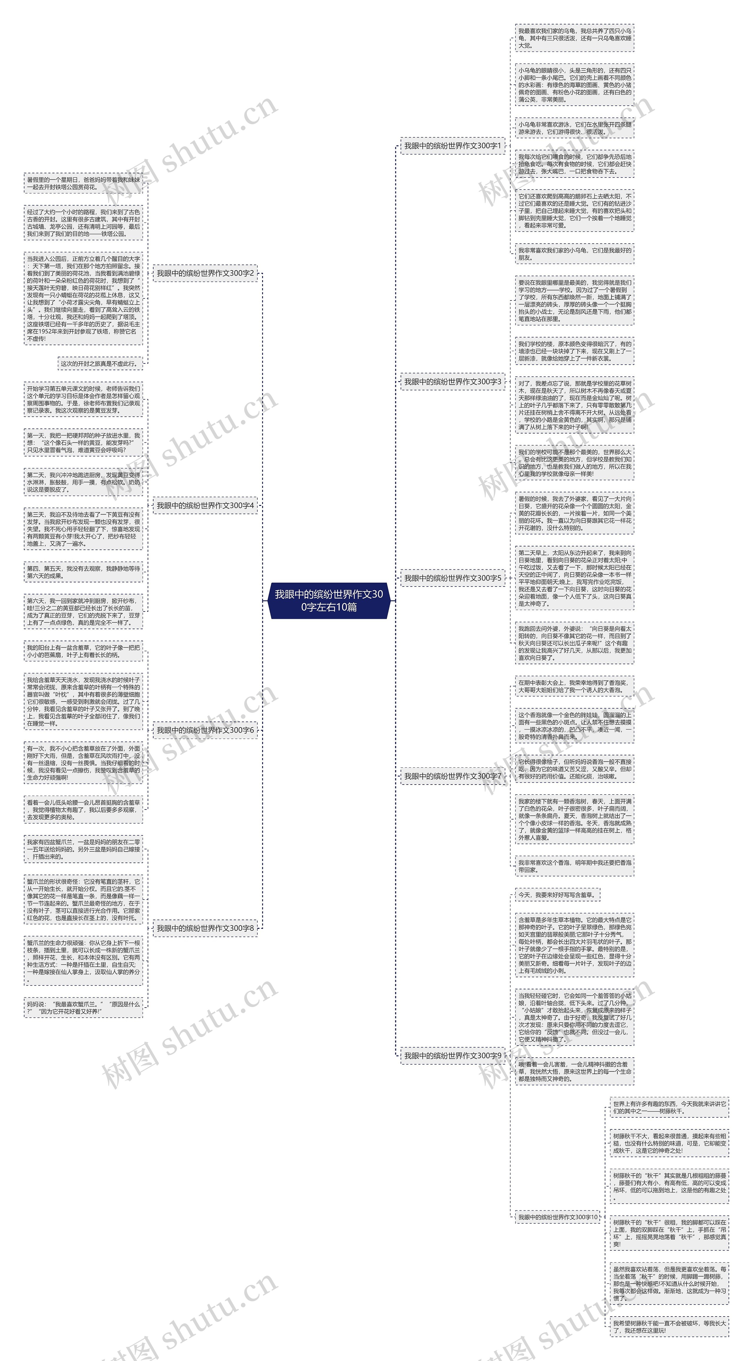 我眼中的缤纷世界作文300字左右10篇思维导图