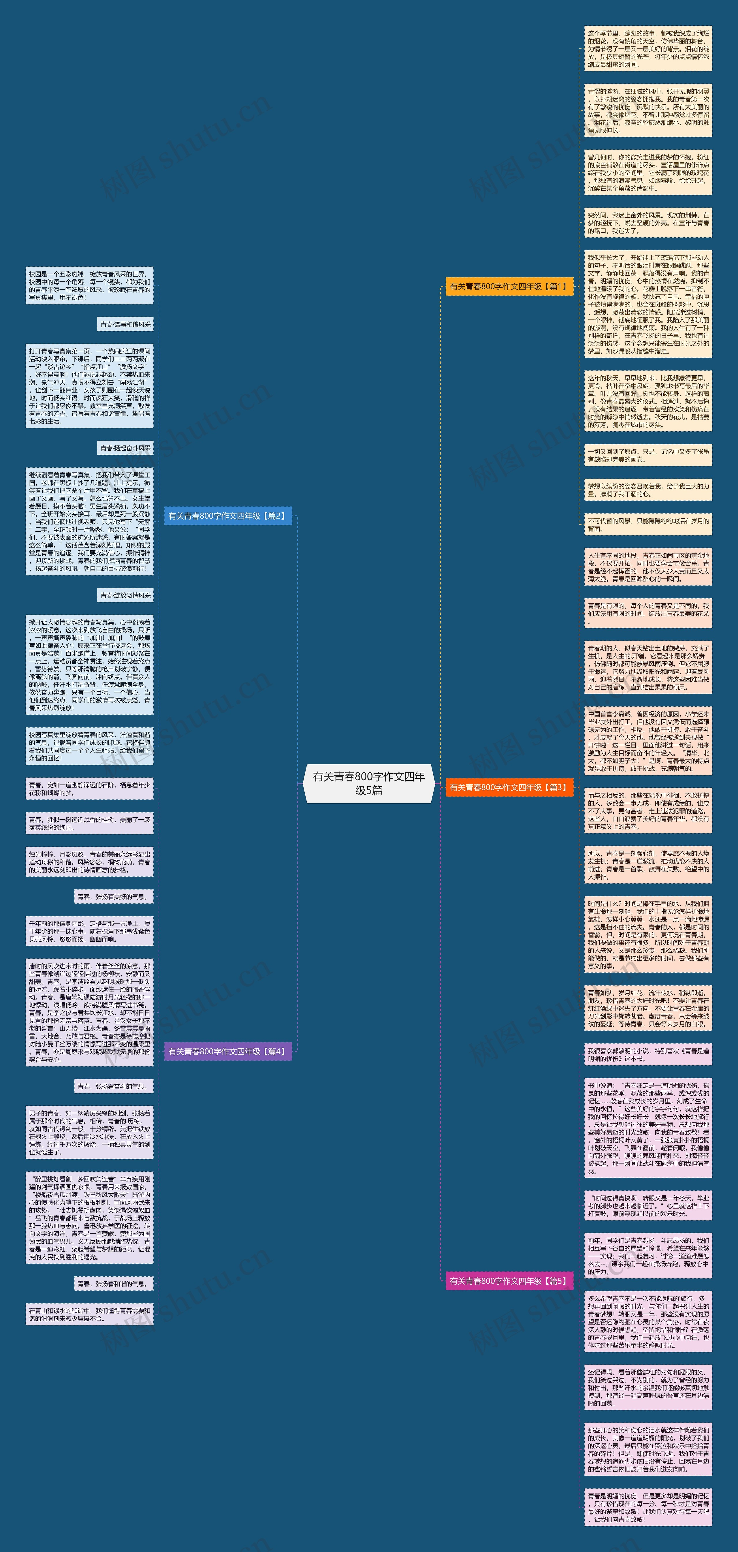 有关青春800字作文四年级5篇思维导图