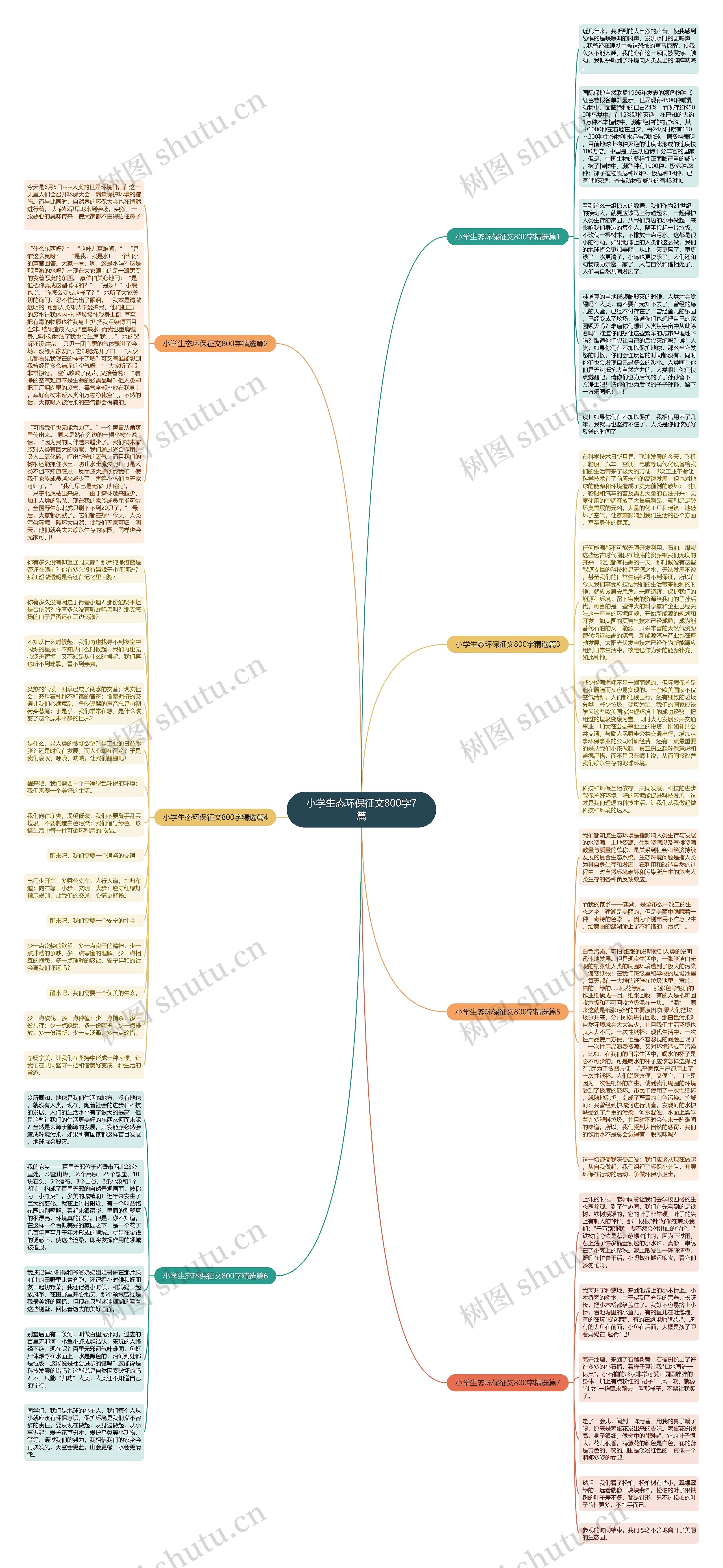 小学生态环保征文800字7篇思维导图