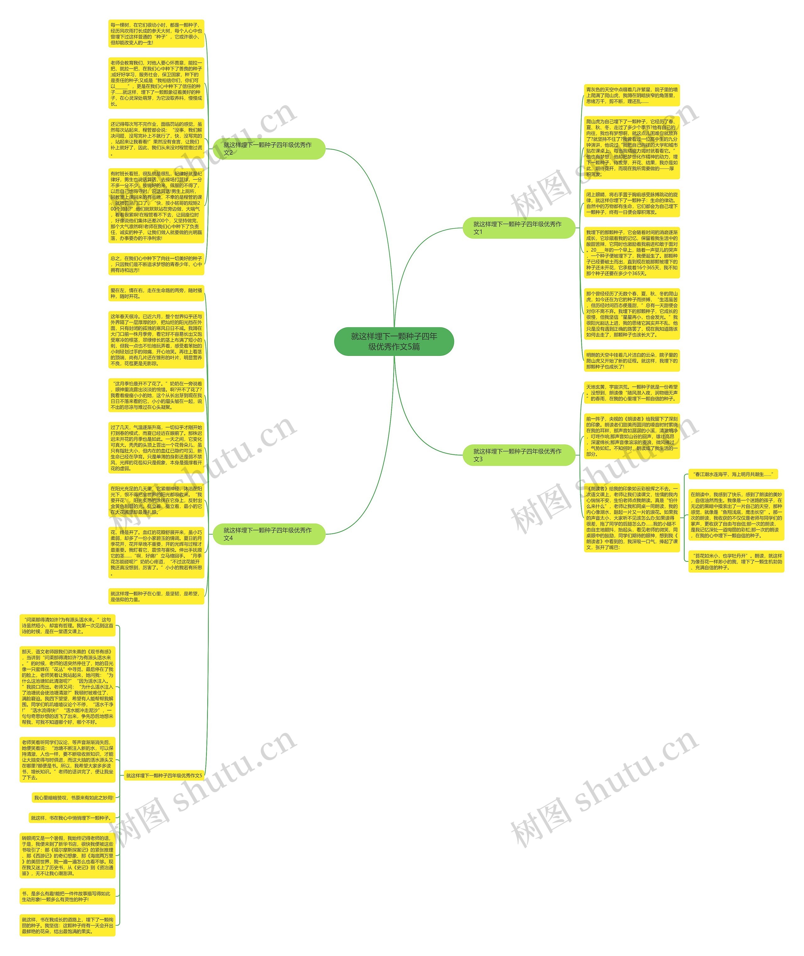 就这样埋下一颗种子四年级优秀作文5篇思维导图