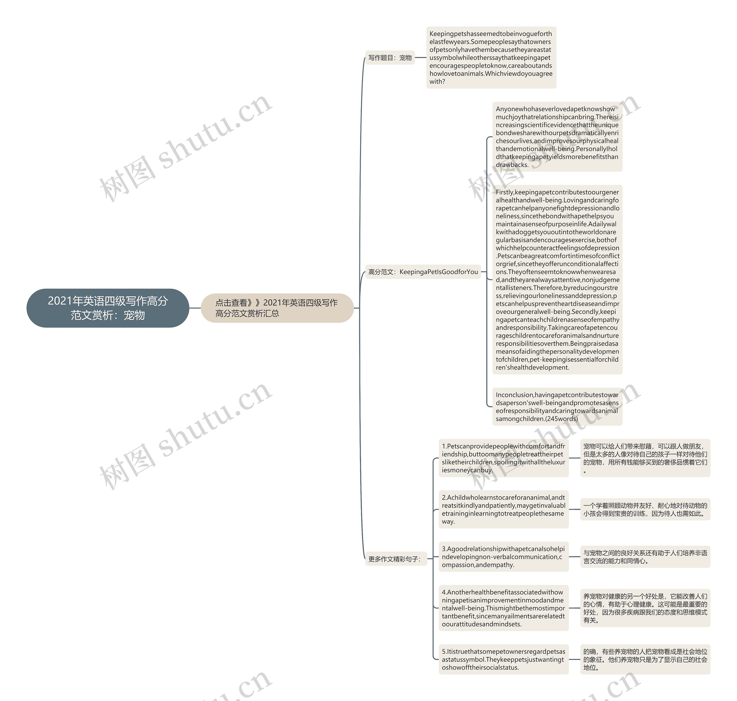 2021年英语四级写作高分范文赏析：宠物思维导图