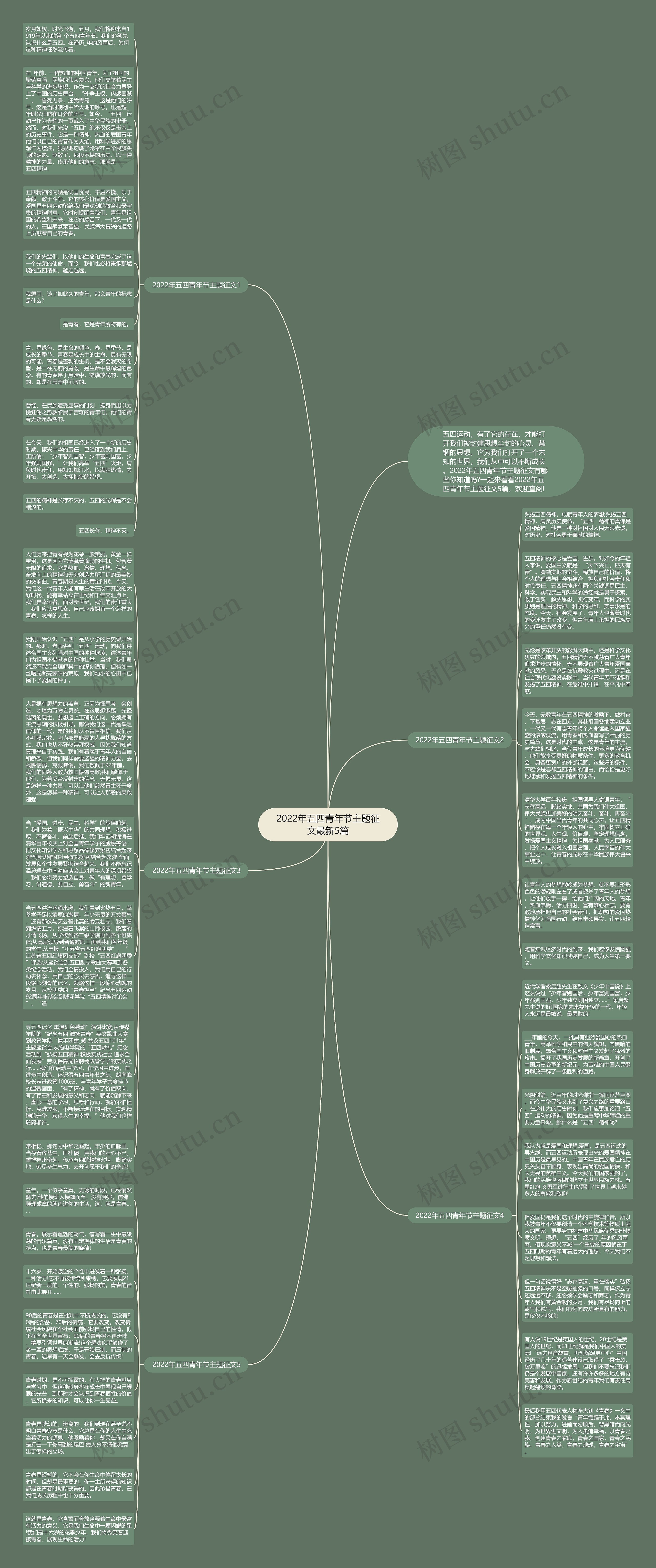 2022年五四青年节主题征文最新5篇思维导图