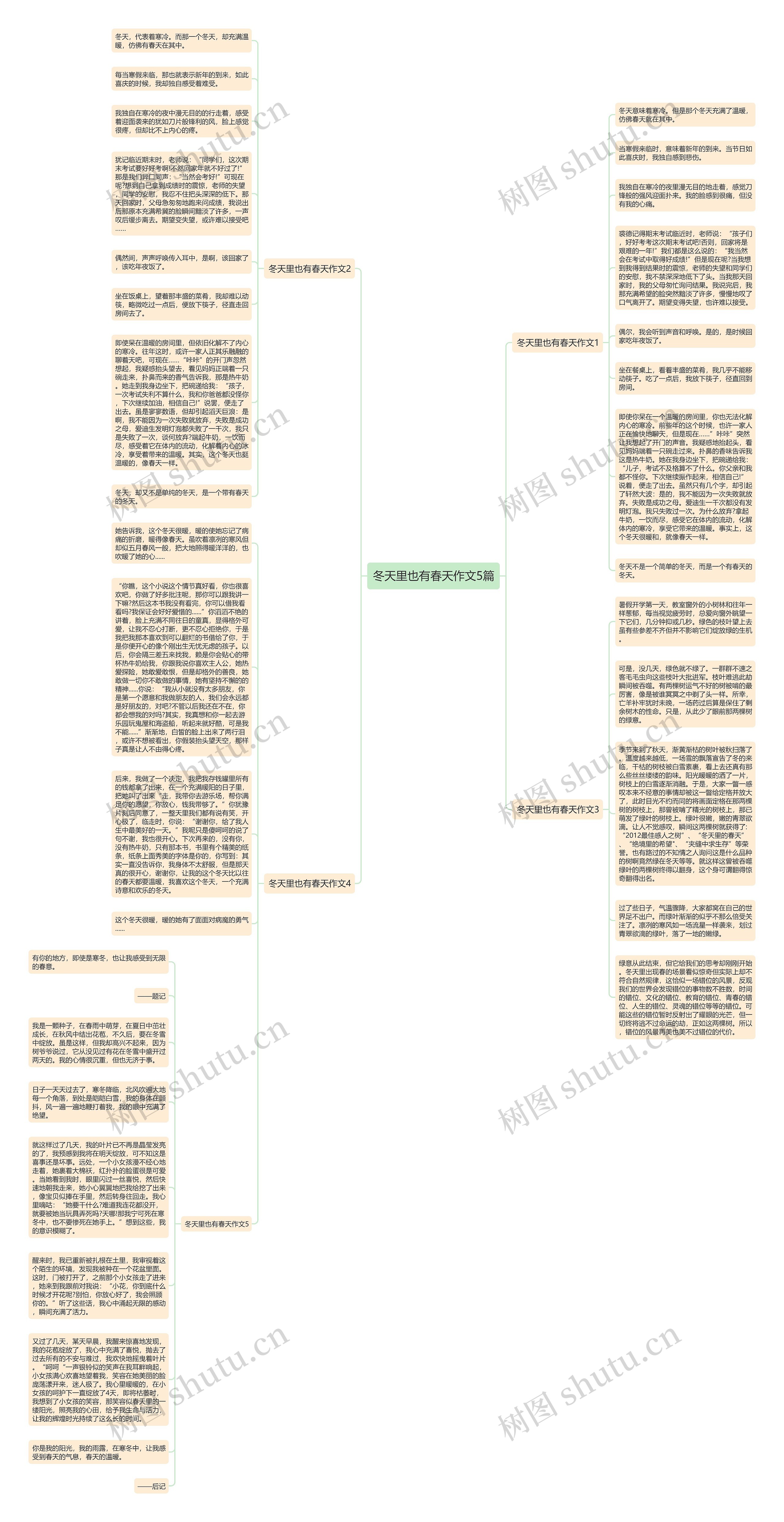 冬天里也有春天作文5篇思维导图