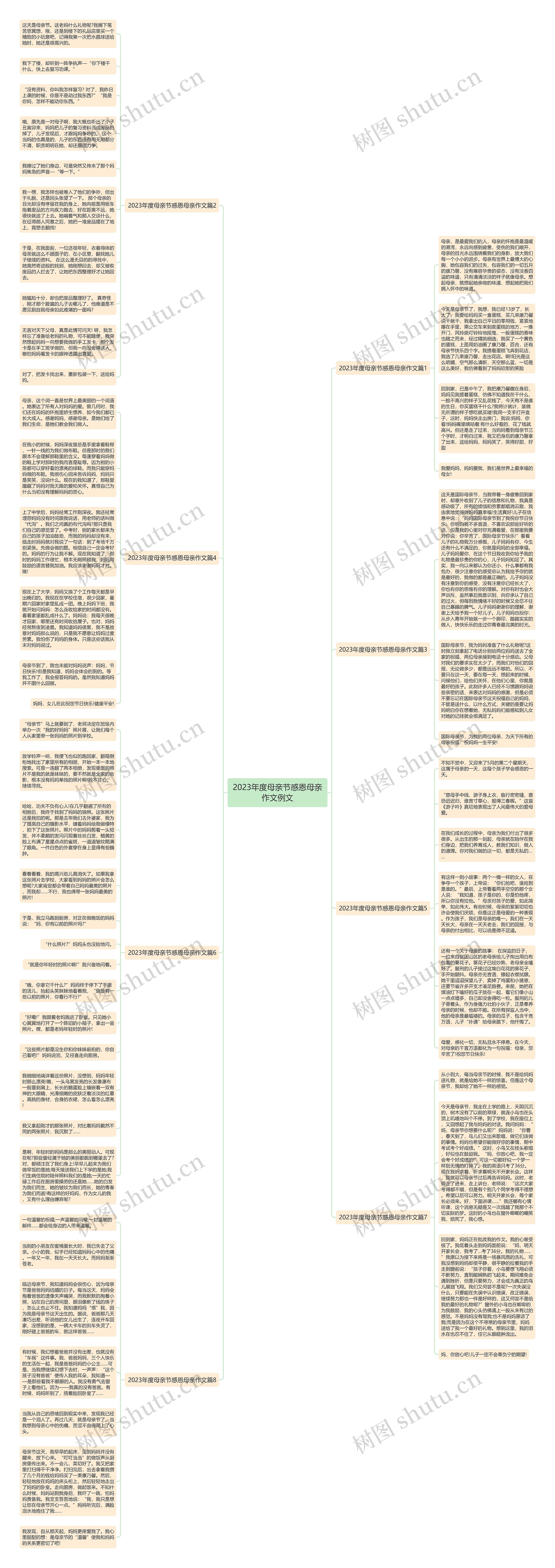 2023年度母亲节感恩母亲作文例文思维导图