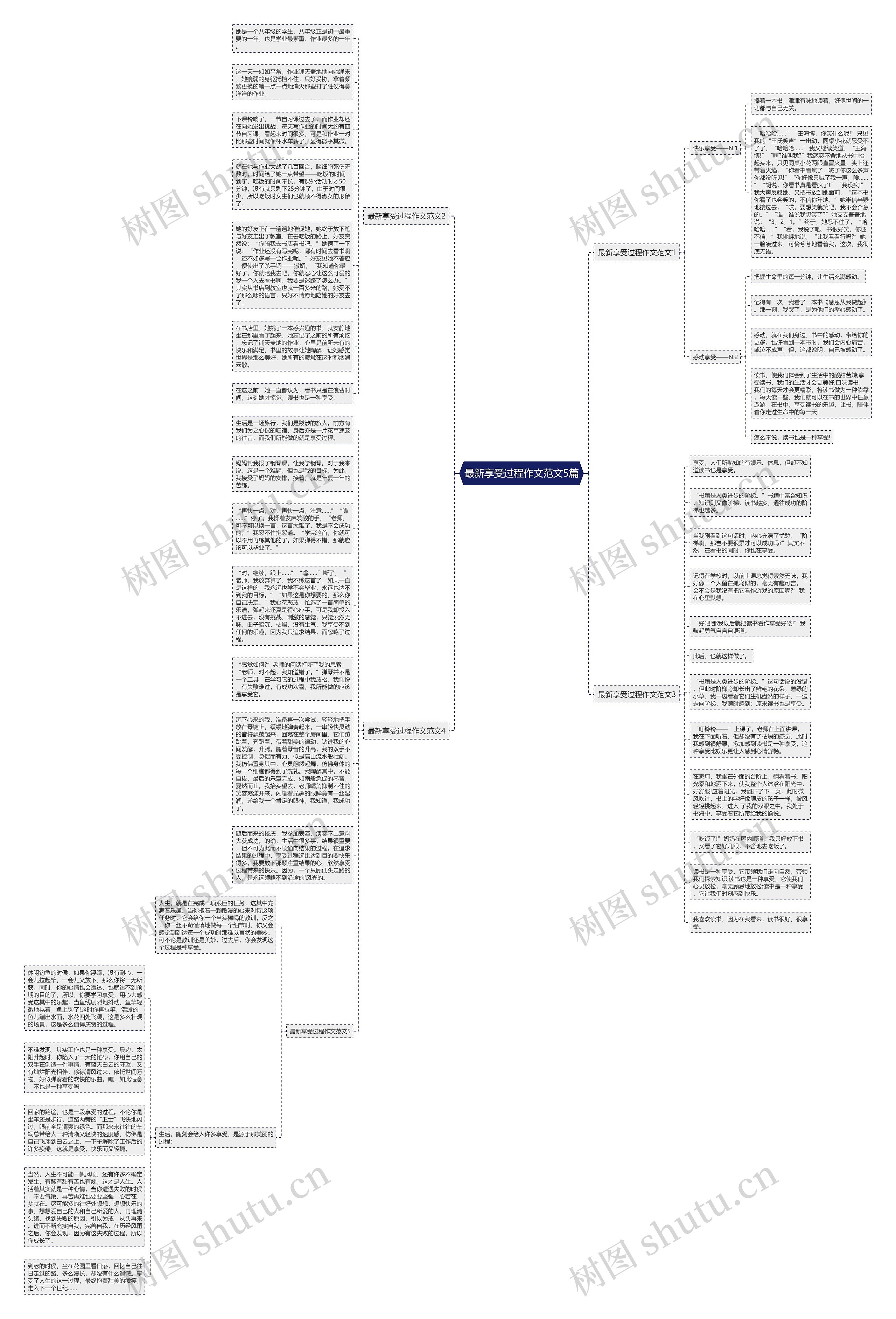 最新享受过程作文范文5篇思维导图