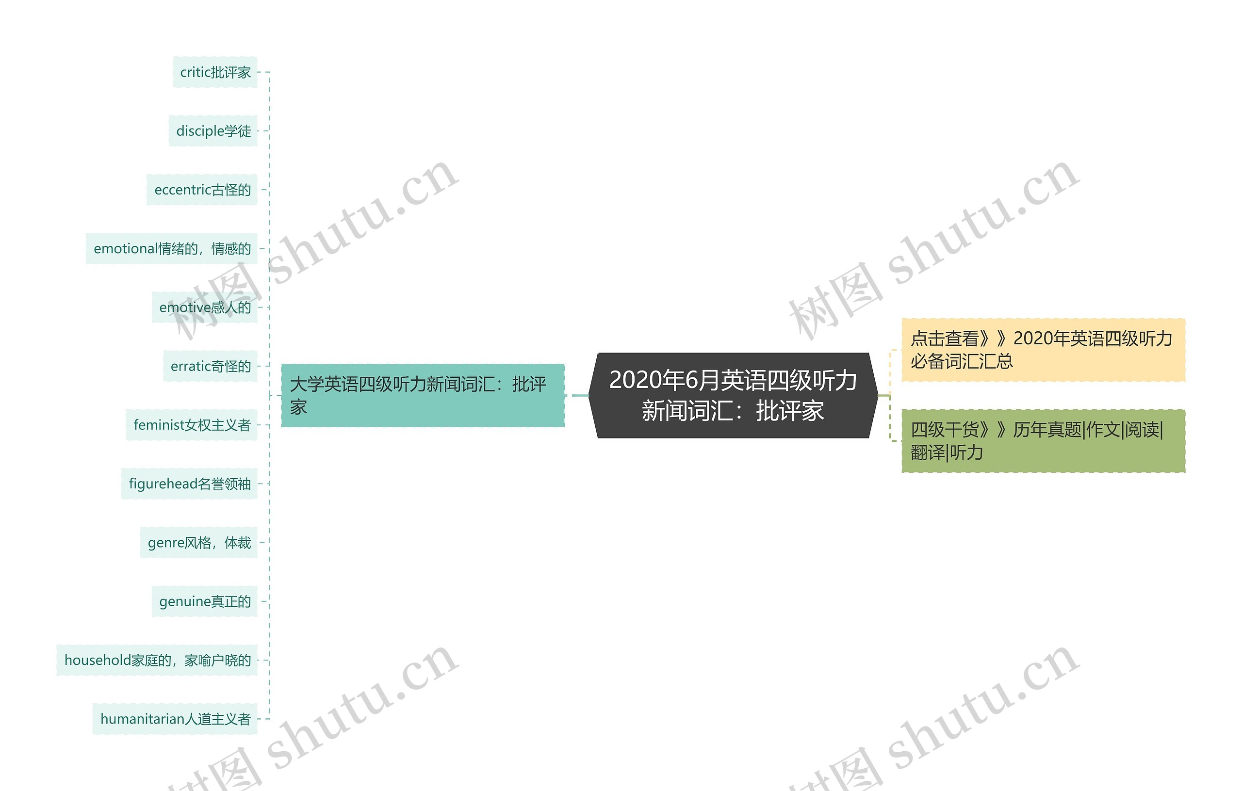 2020年6月英语四级听力新闻词汇：批评家