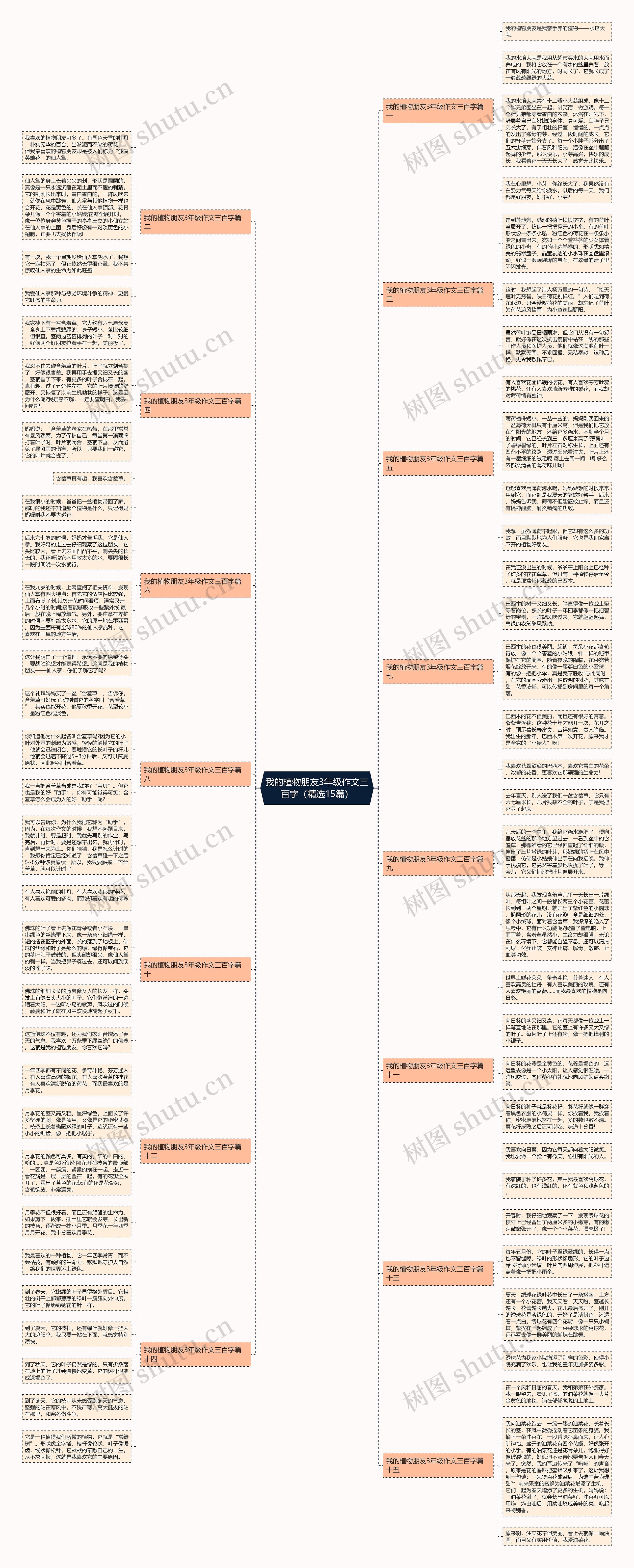 我的植物朋友3年级作文三百字（精选15篇）思维导图