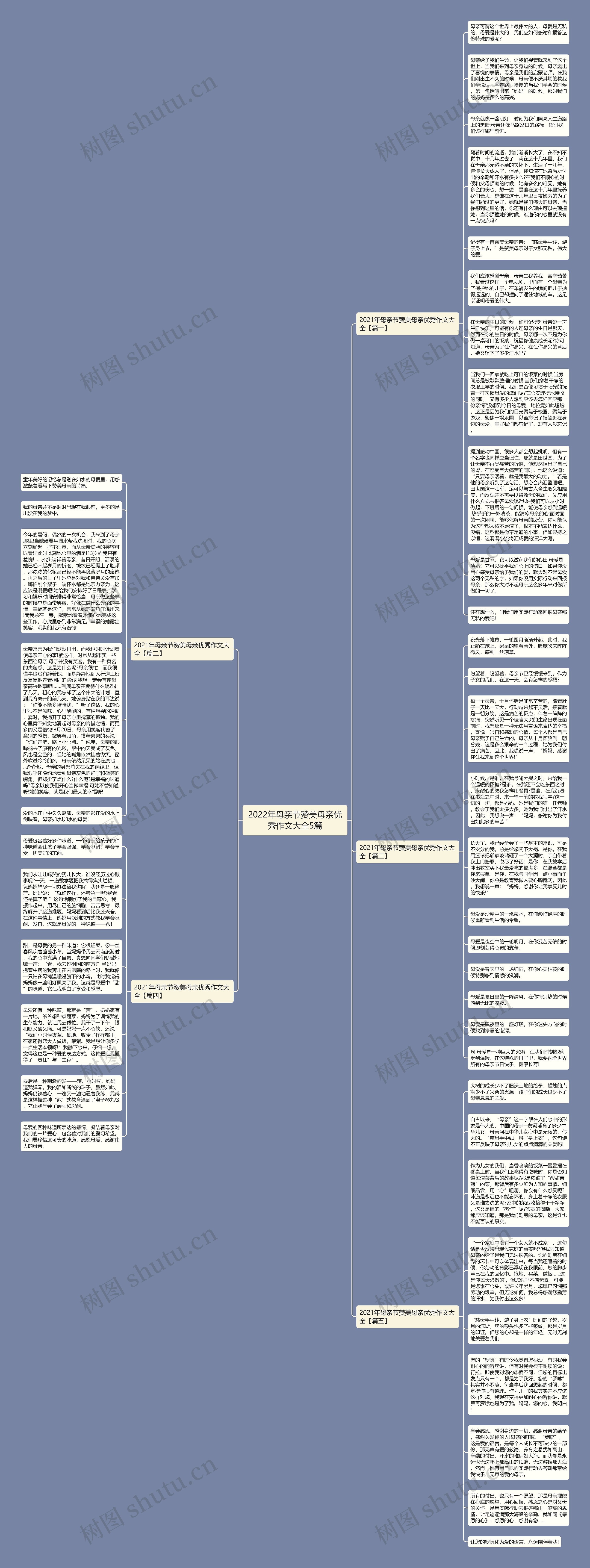 2022年母亲节赞美母亲优秀作文大全5篇思维导图