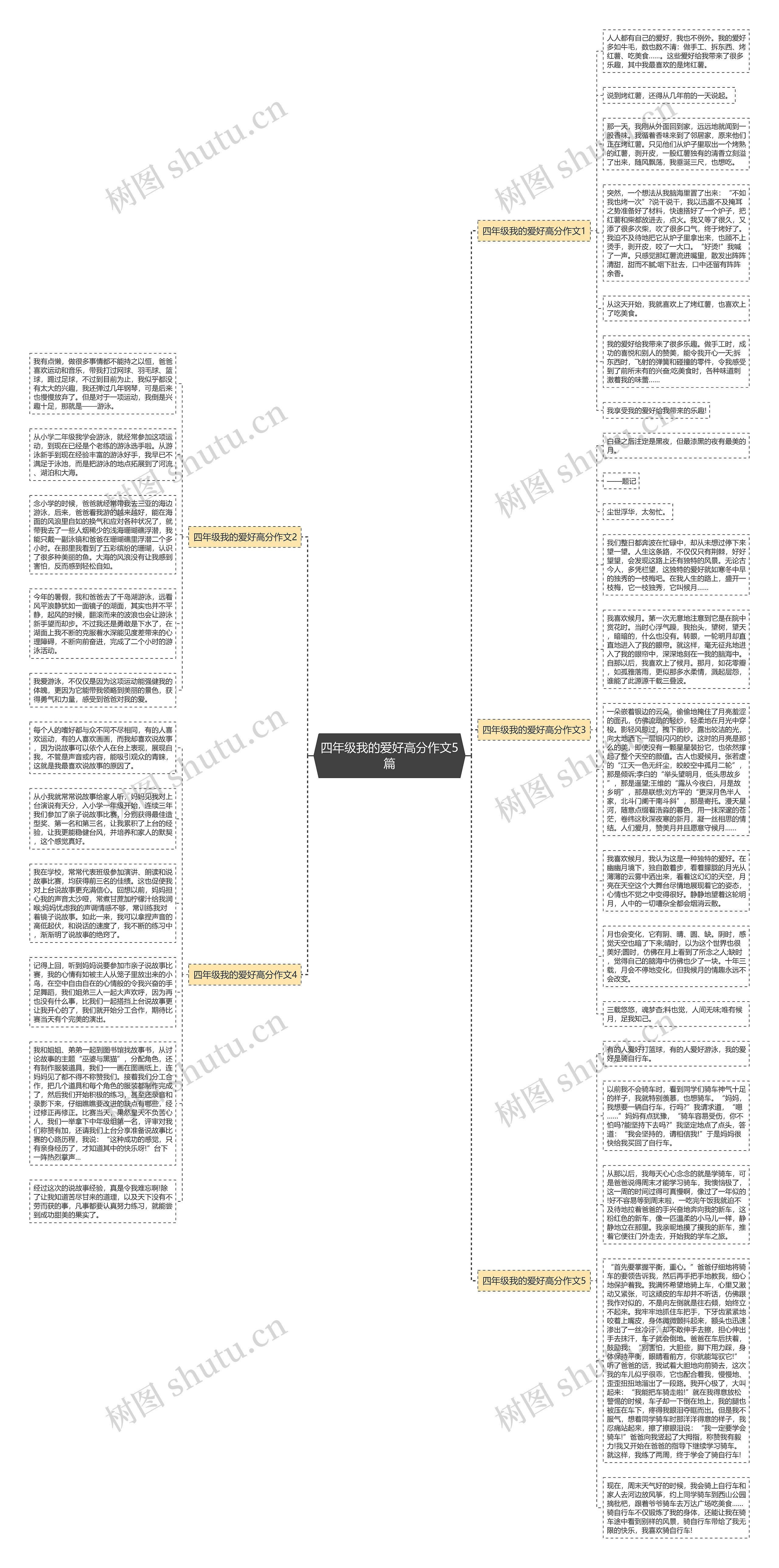 四年级我的爱好高分作文5篇思维导图