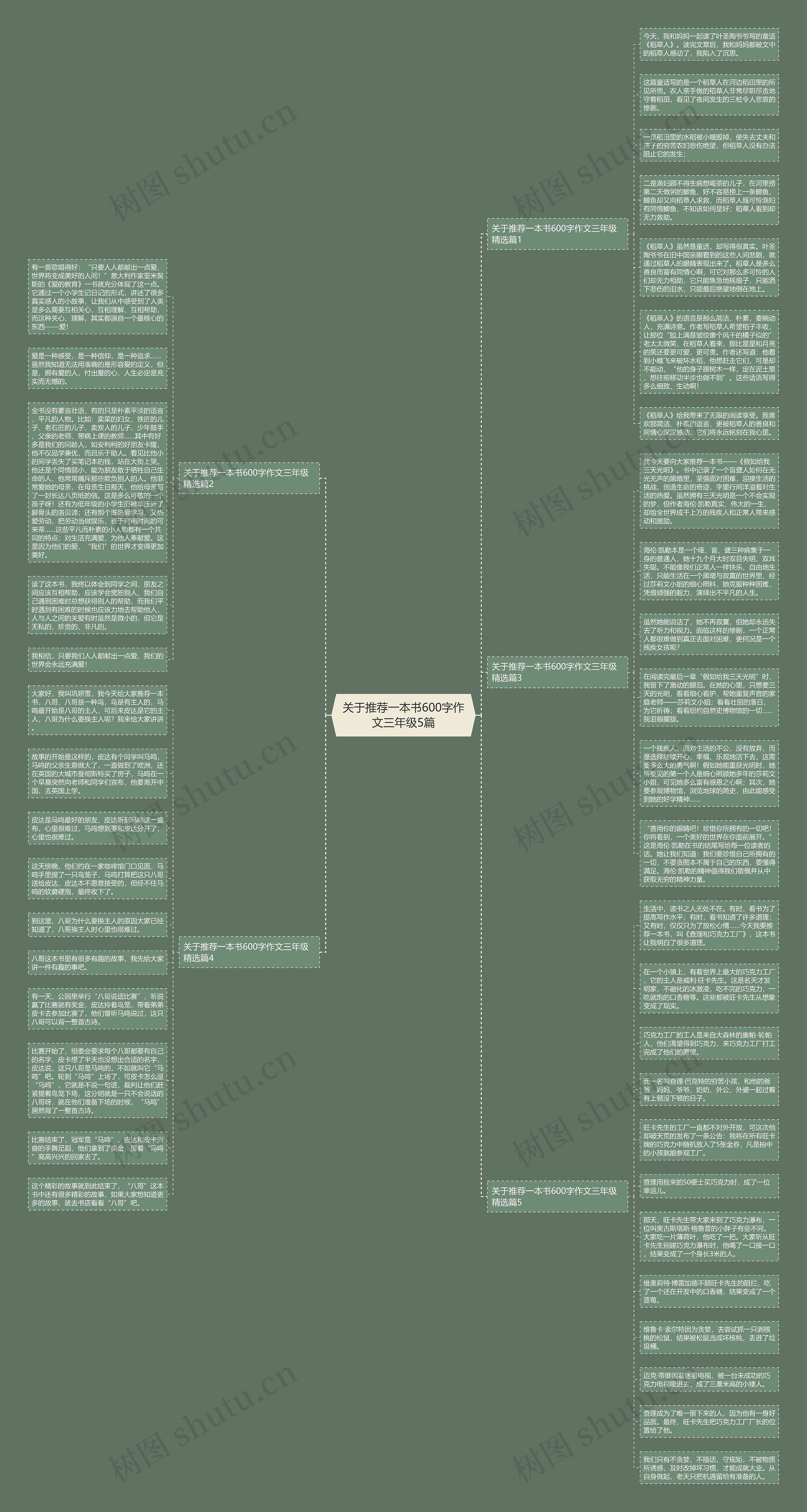 关于推荐一本书600字作文三年级5篇思维导图