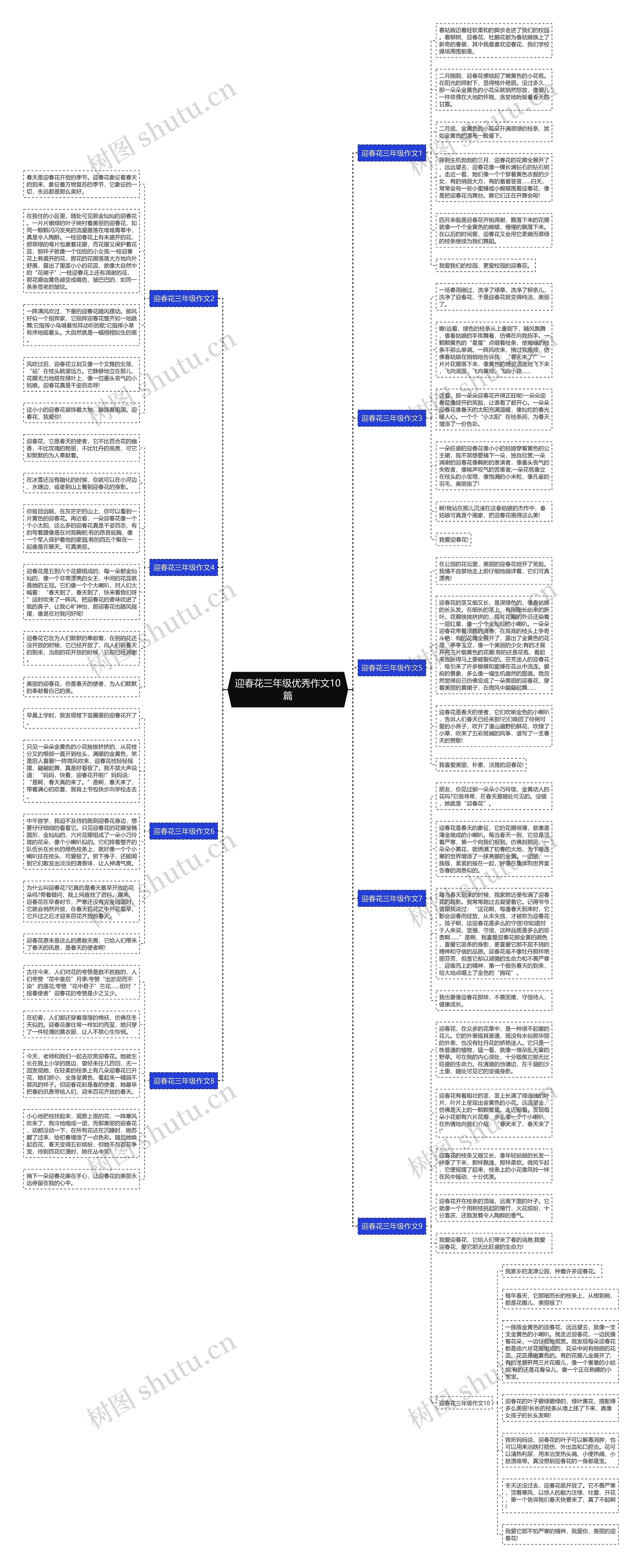 迎春花三年级优秀作文10篇思维导图