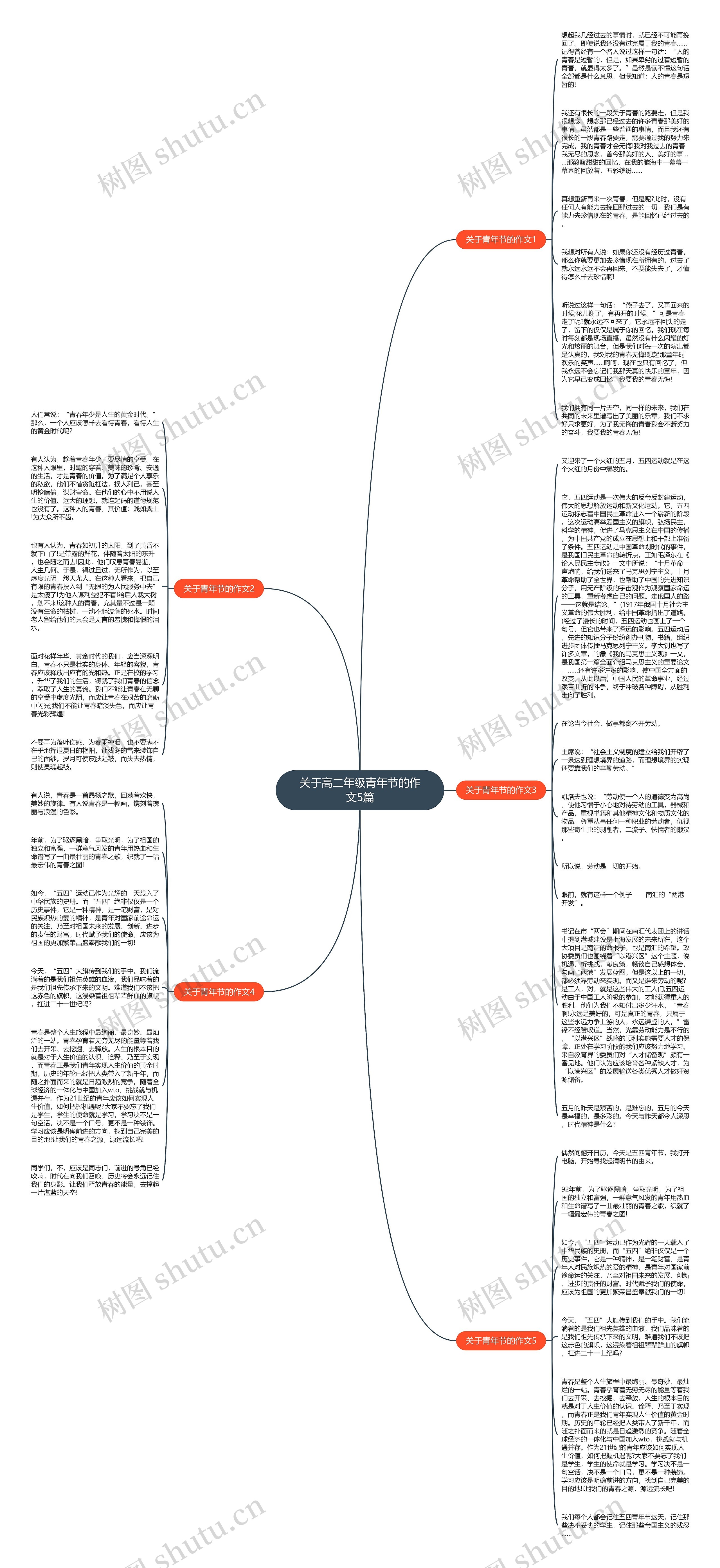 关于高二年级青年节的作文5篇思维导图
