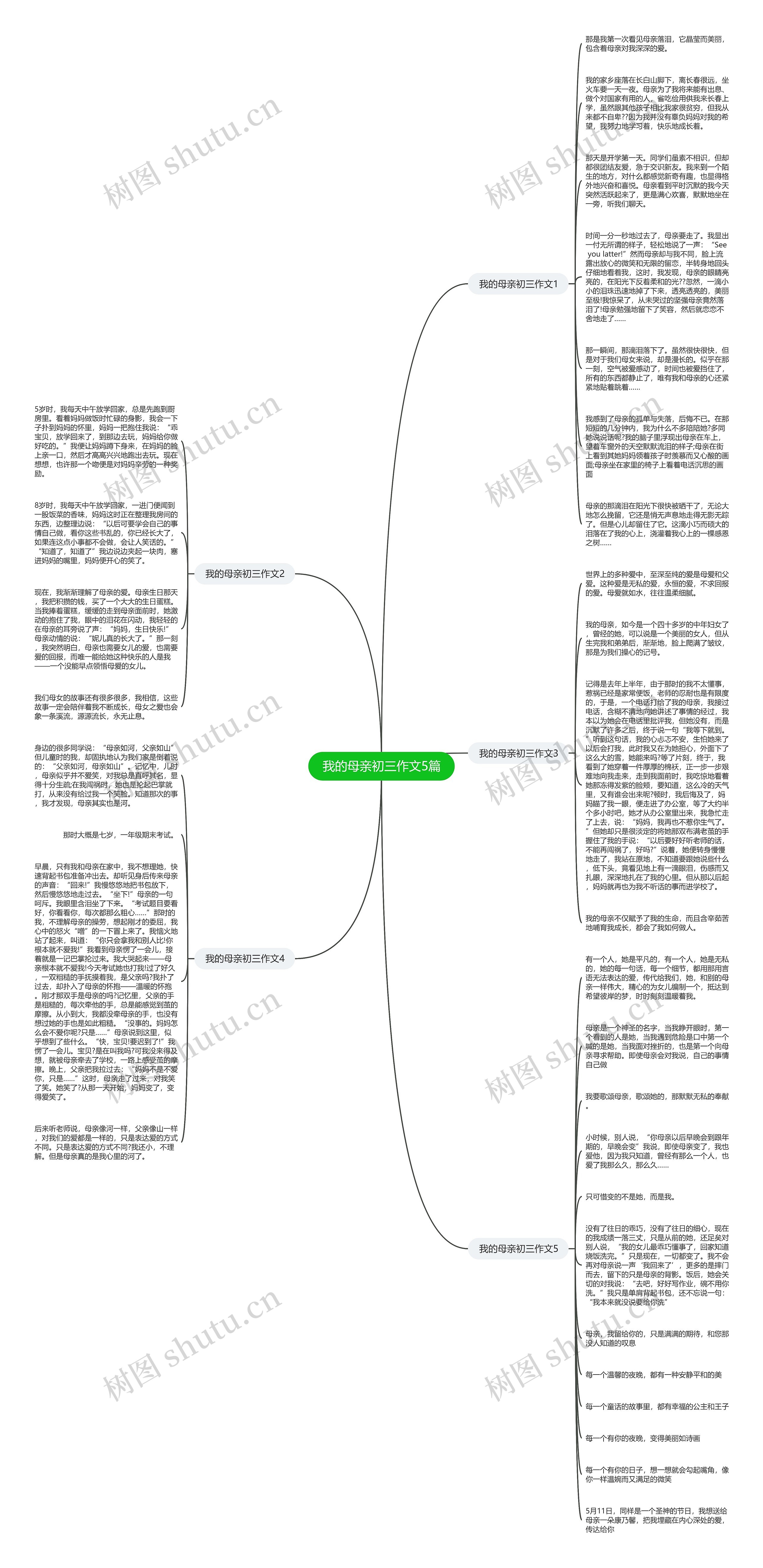 我的母亲初三作文5篇思维导图