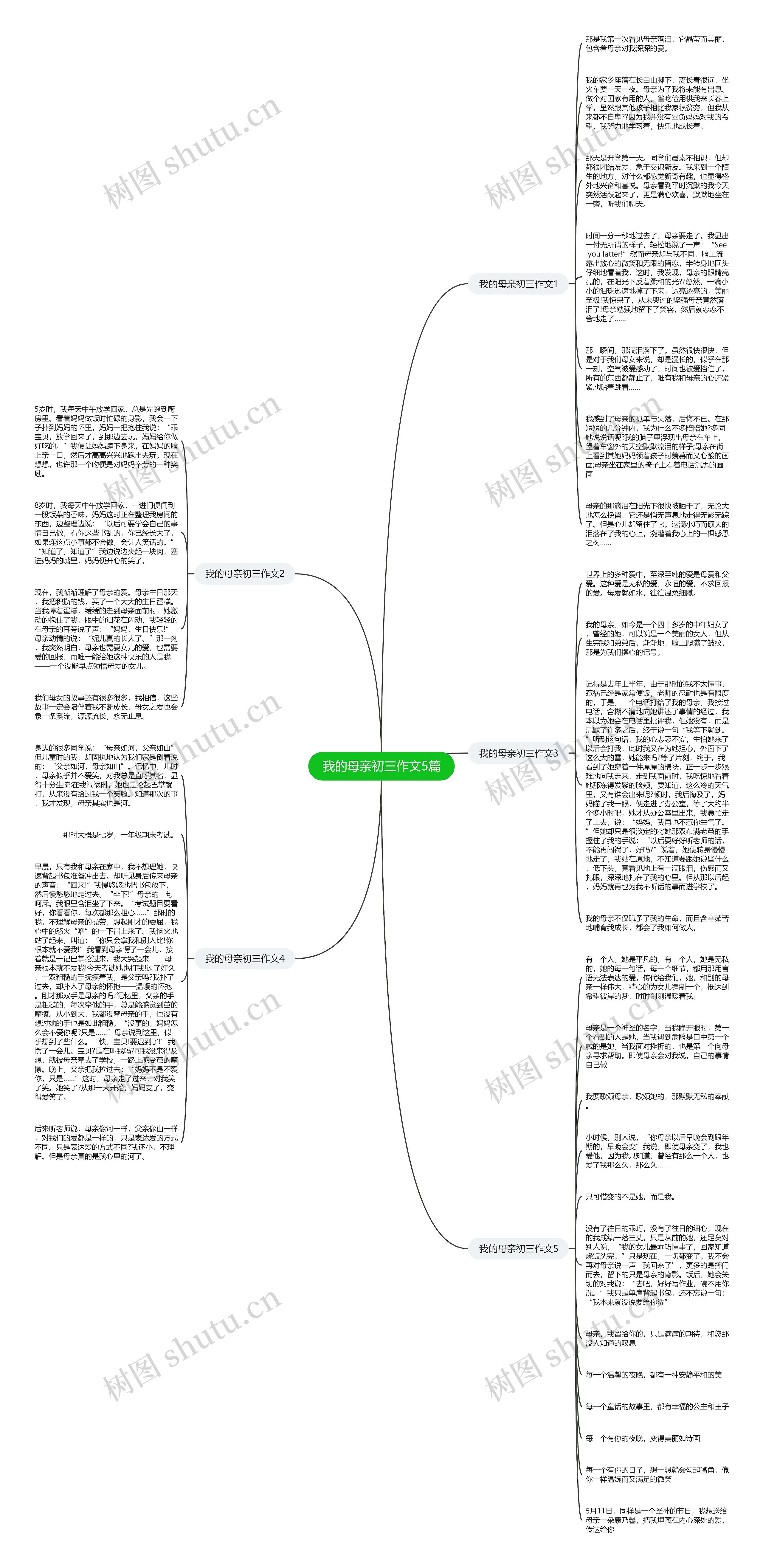 我的母亲初三作文5篇思维导图高清图 我的母亲初三作文5篇思维导图