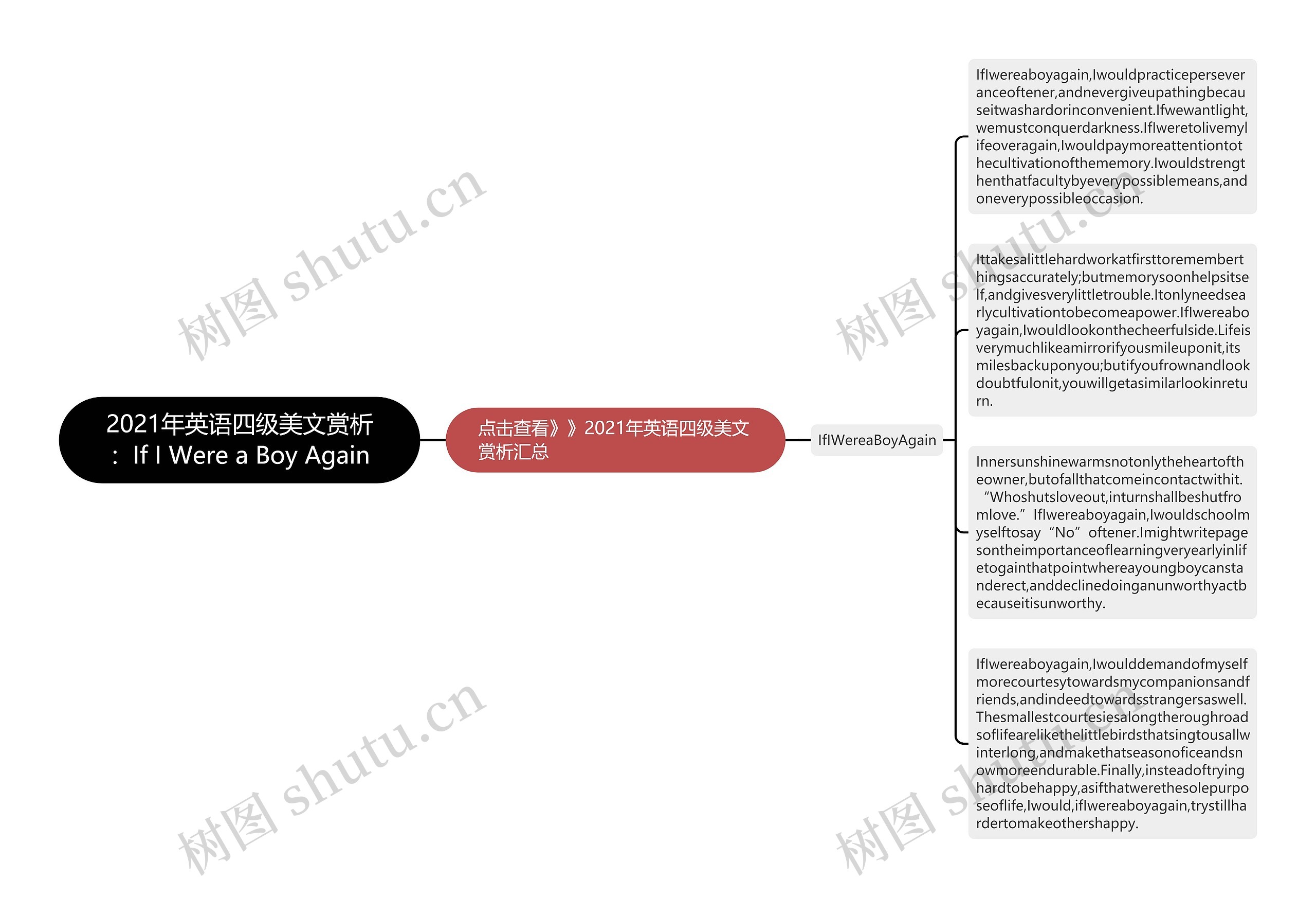 2021年英语四级美文赏析：If I Were a Boy Again思维导图