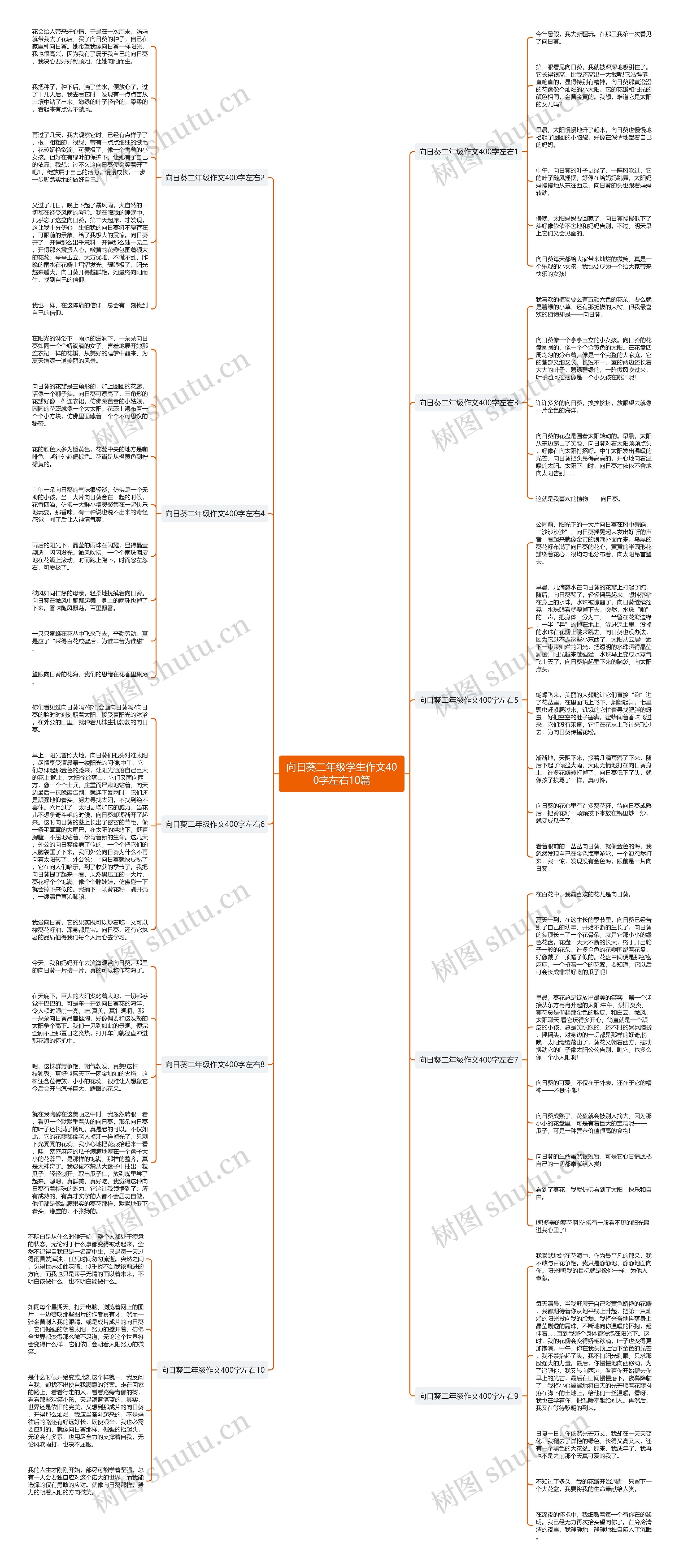 向日葵二年级学生作文400字左右10篇思维导图