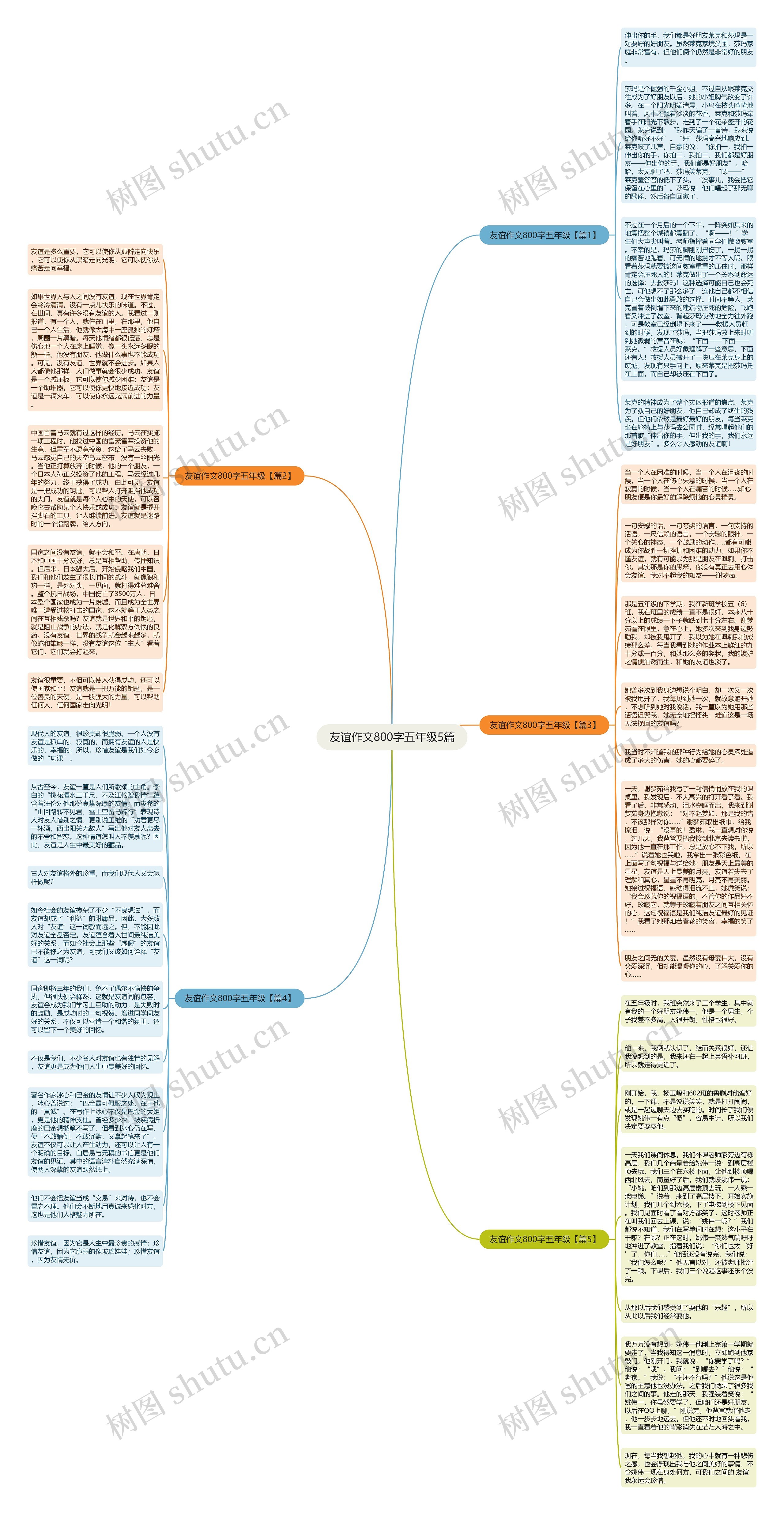 友谊作文800字五年级5篇思维导图