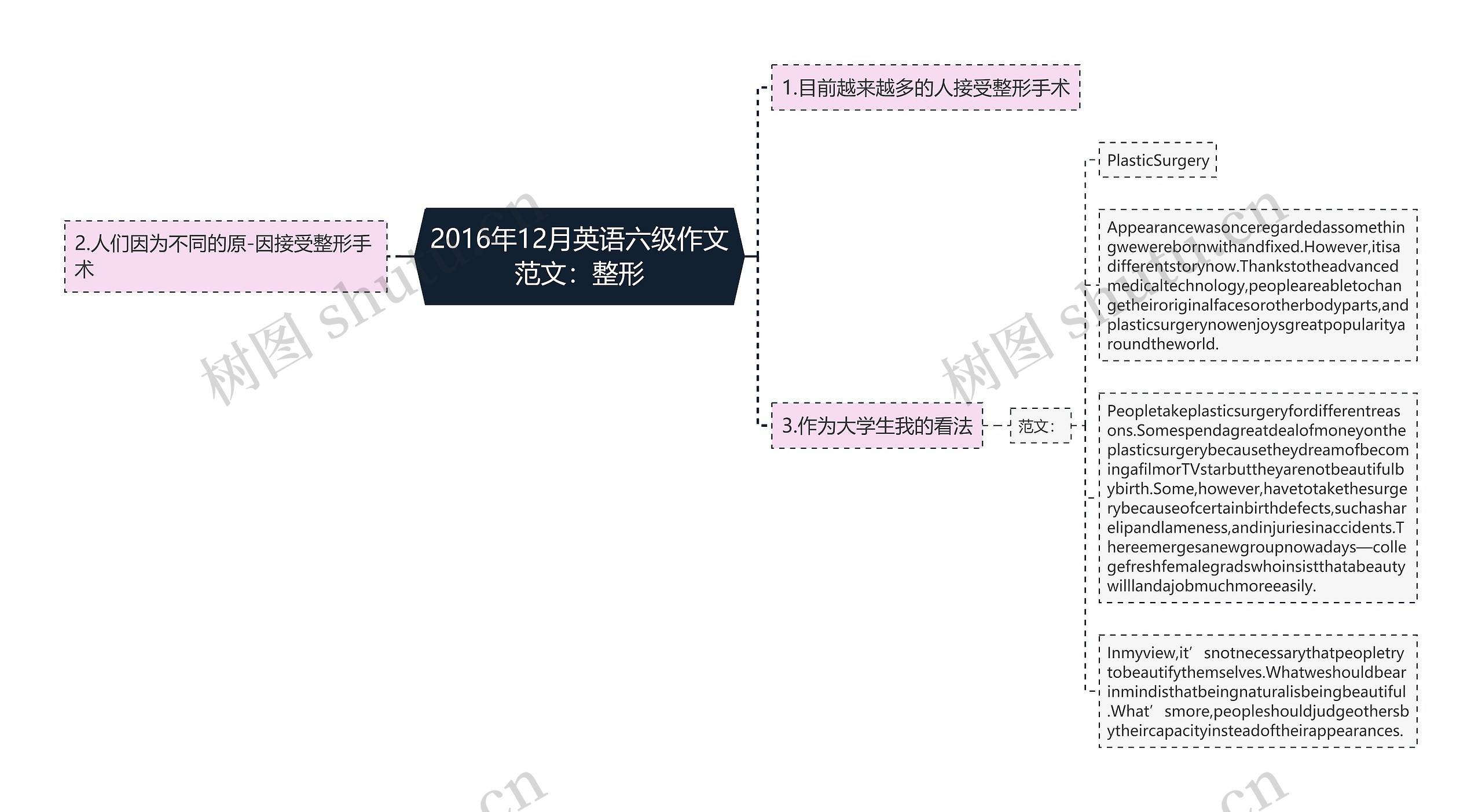 2016年12月英语六级作文范文：整形思维导图