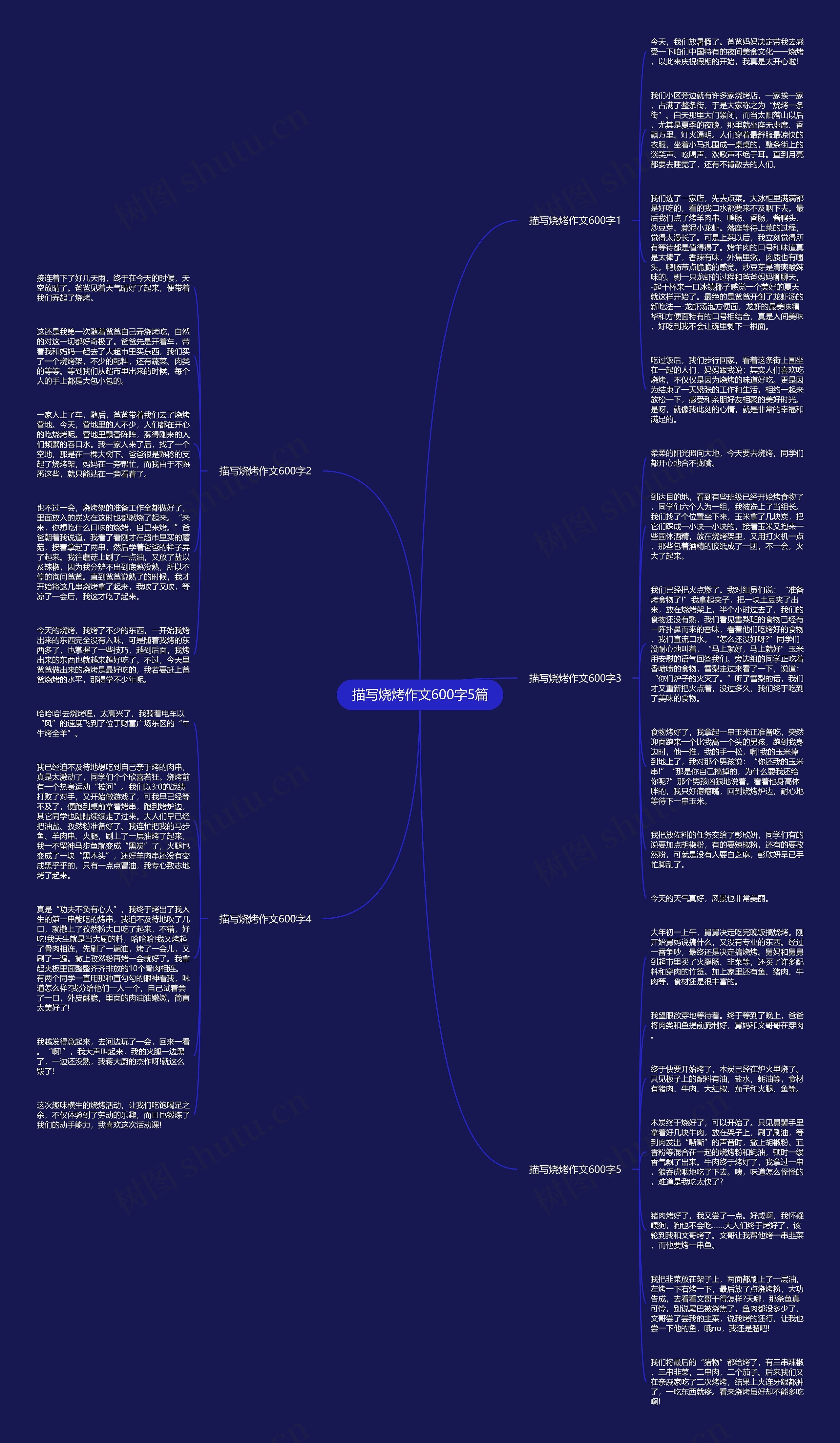 描写烧烤作文600字5篇思维导图