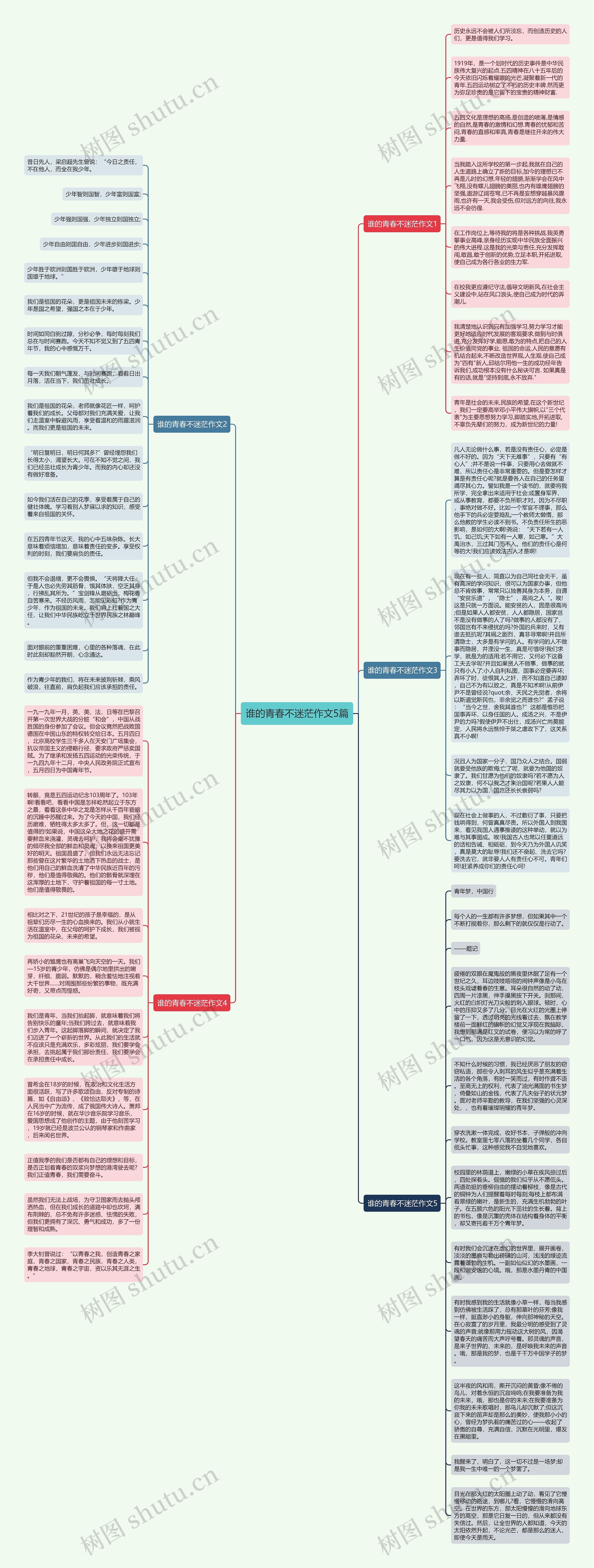 谁的青春不迷茫作文5篇思维导图