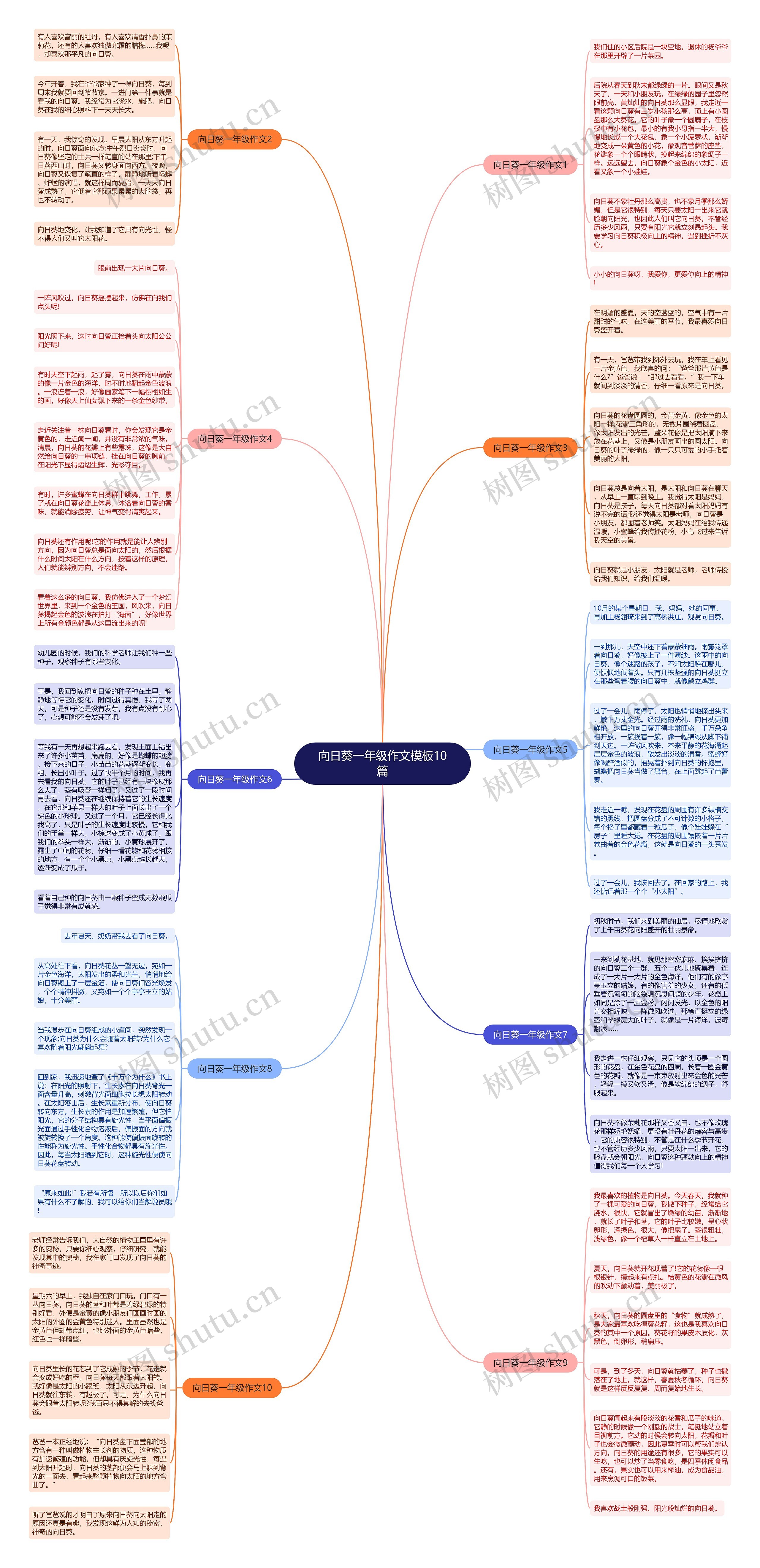 向日葵一年级作文10篇思维导图