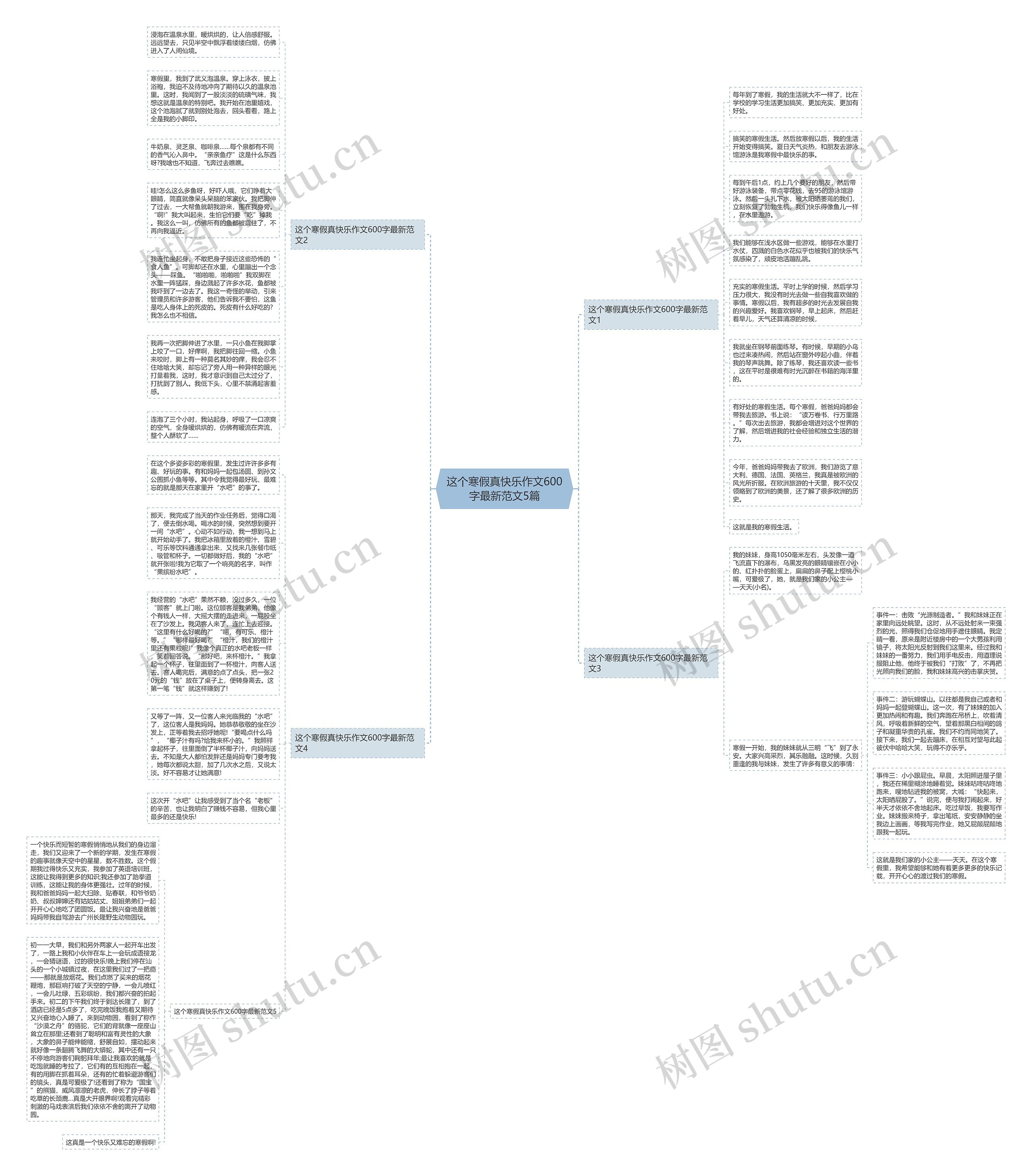 这个寒假真快乐作文600字最新范文5篇思维导图