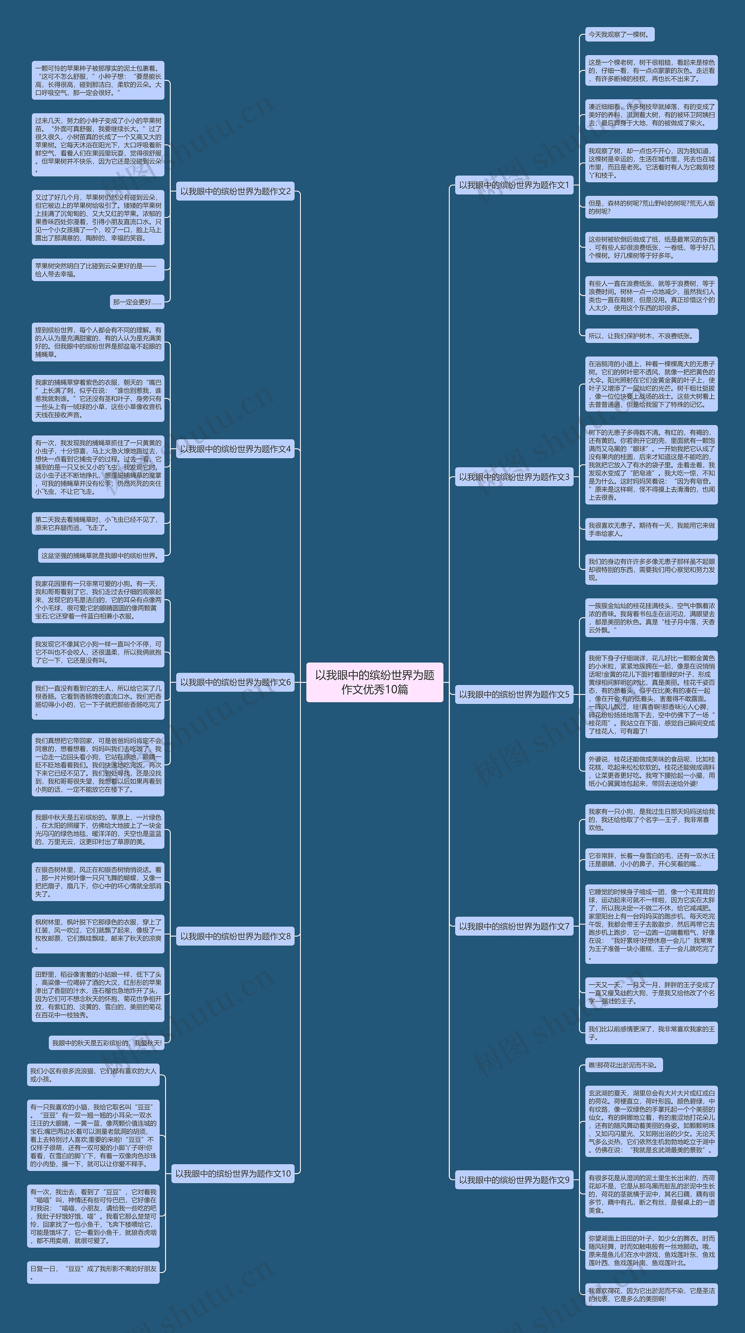 以我眼中的缤纷世界为题作文优秀10篇思维导图