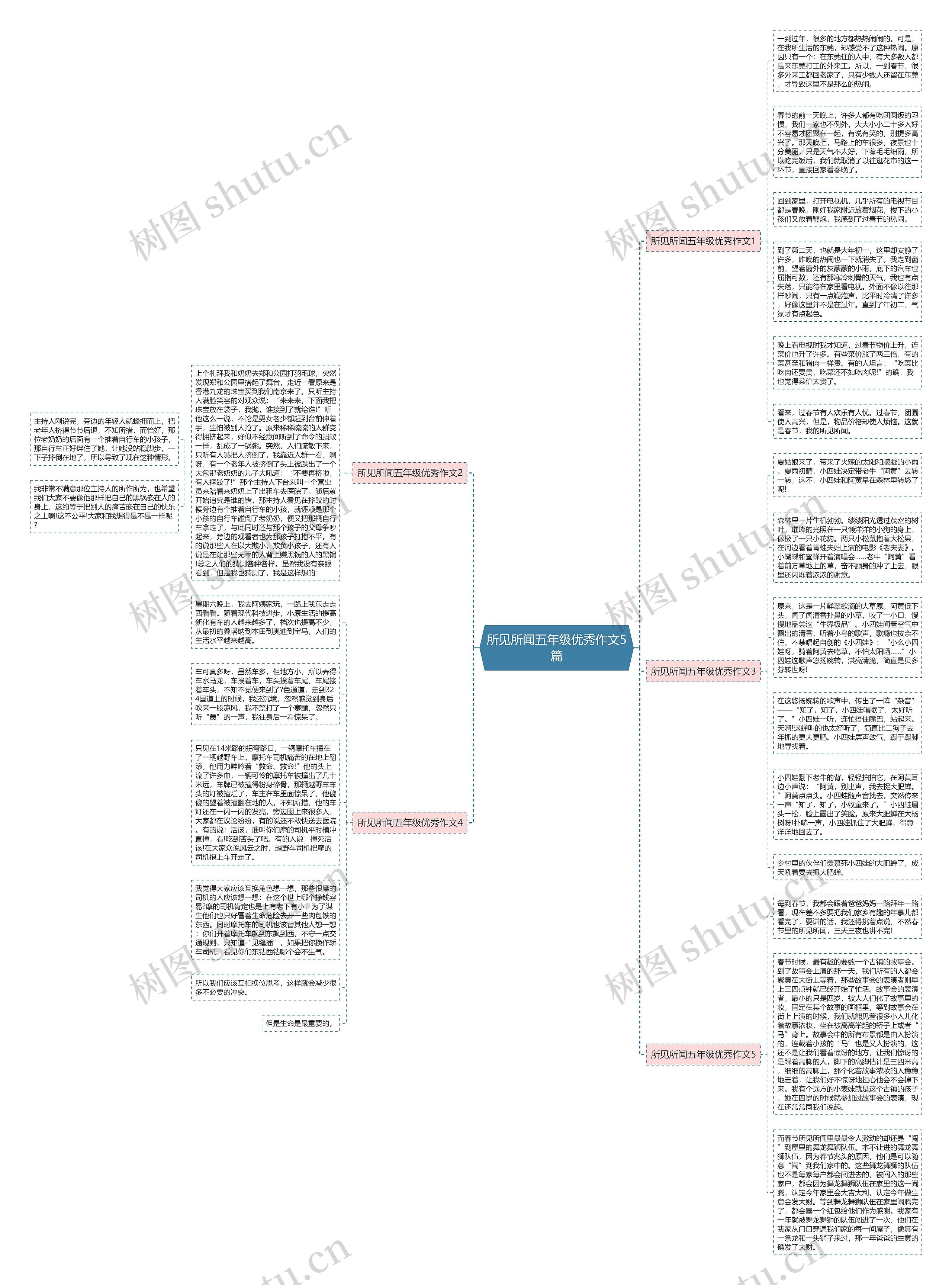 所见所闻五年级优秀作文5篇思维导图