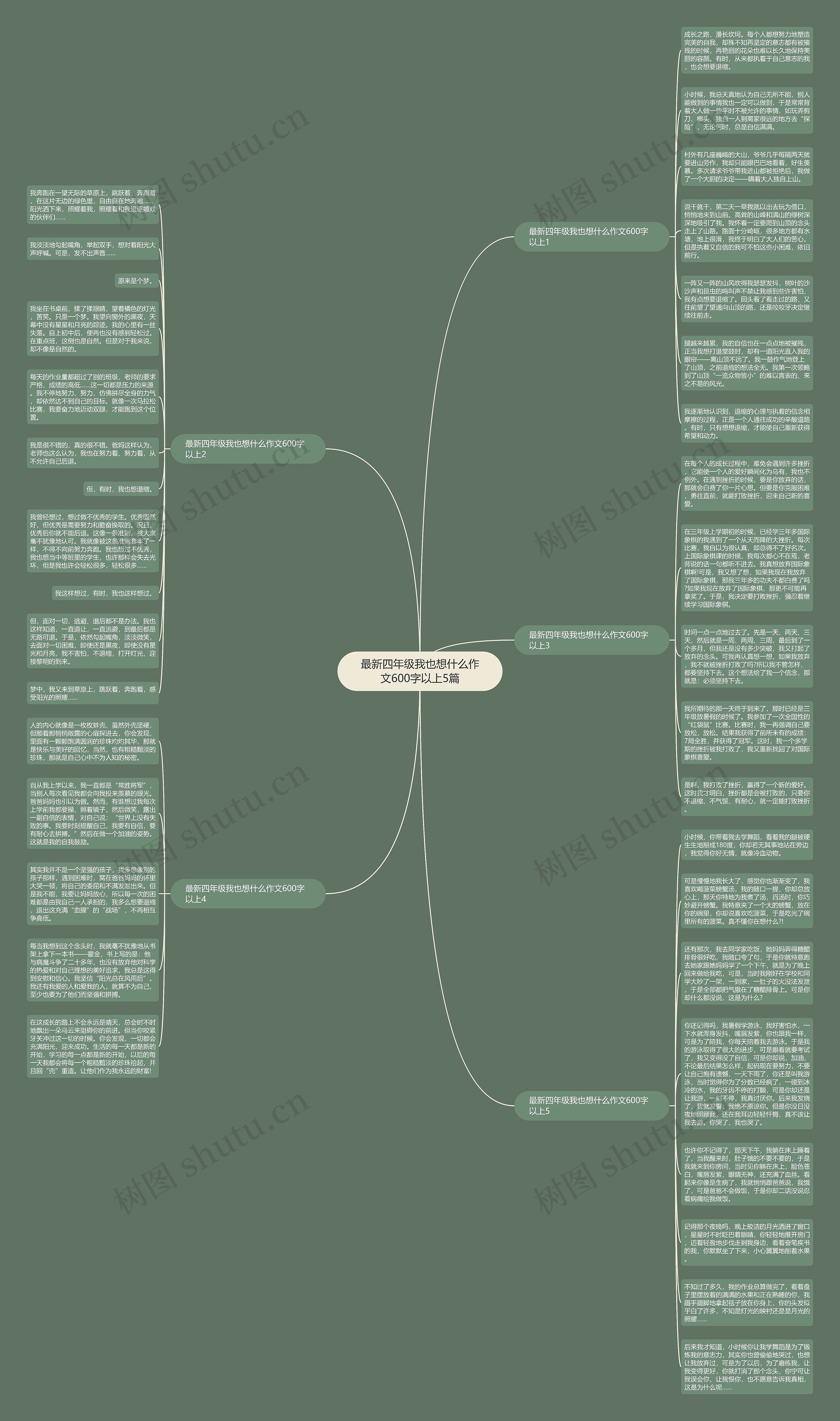 最新四年级我也想什么作文600字以上5篇思维导图