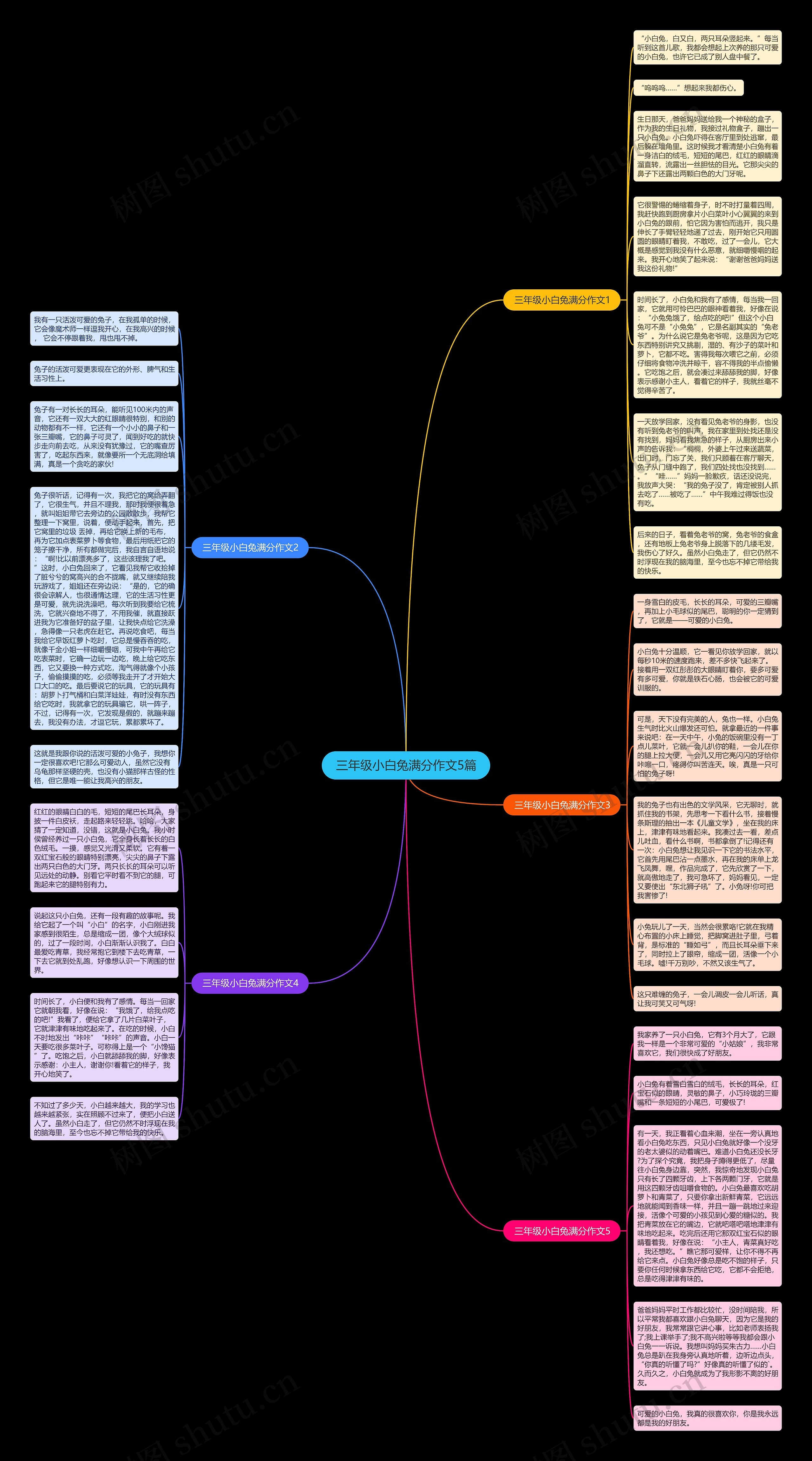三年级小白兔满分作文5篇思维导图