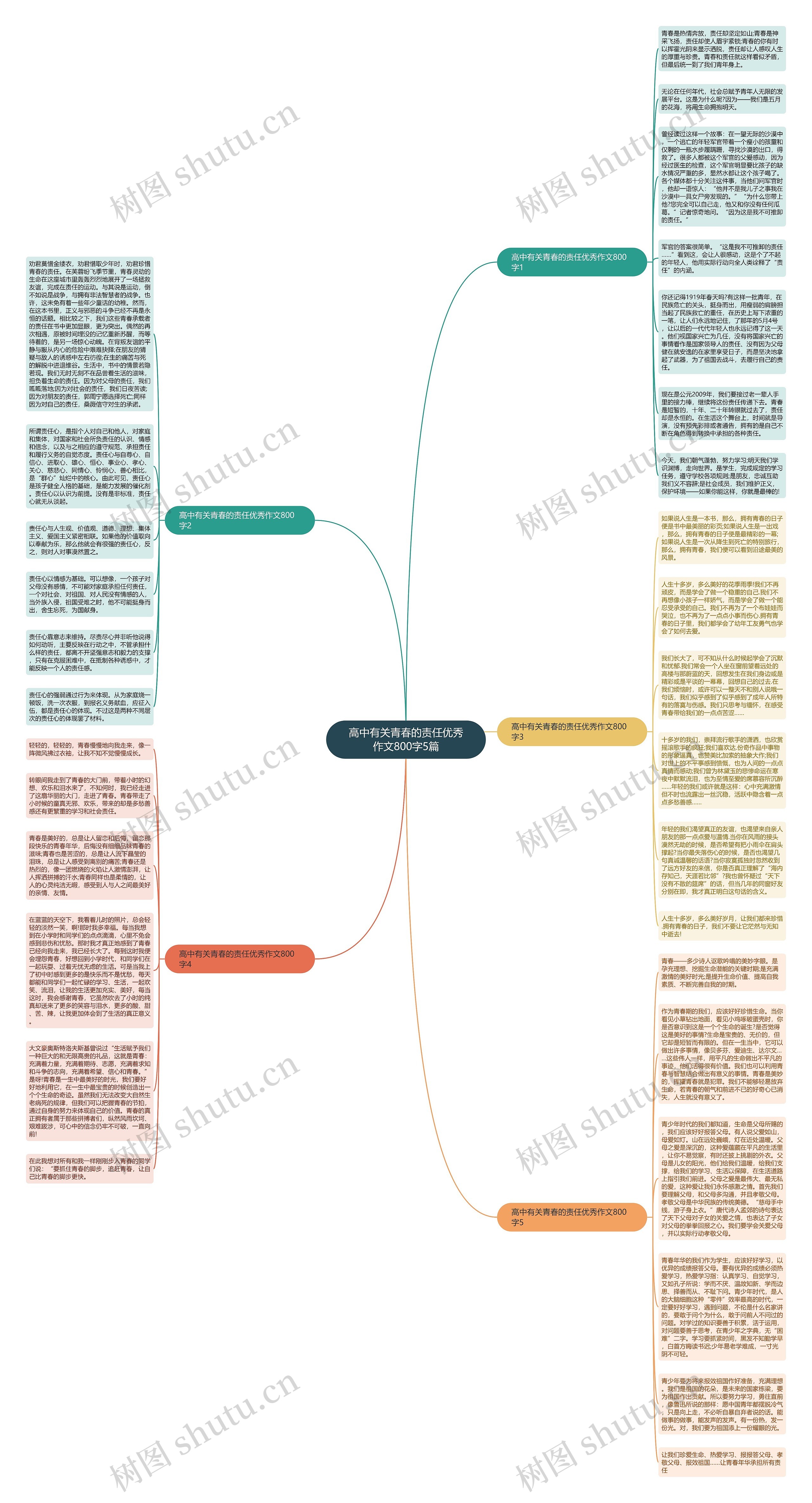 高中有关青春的责任优秀作文800字5篇