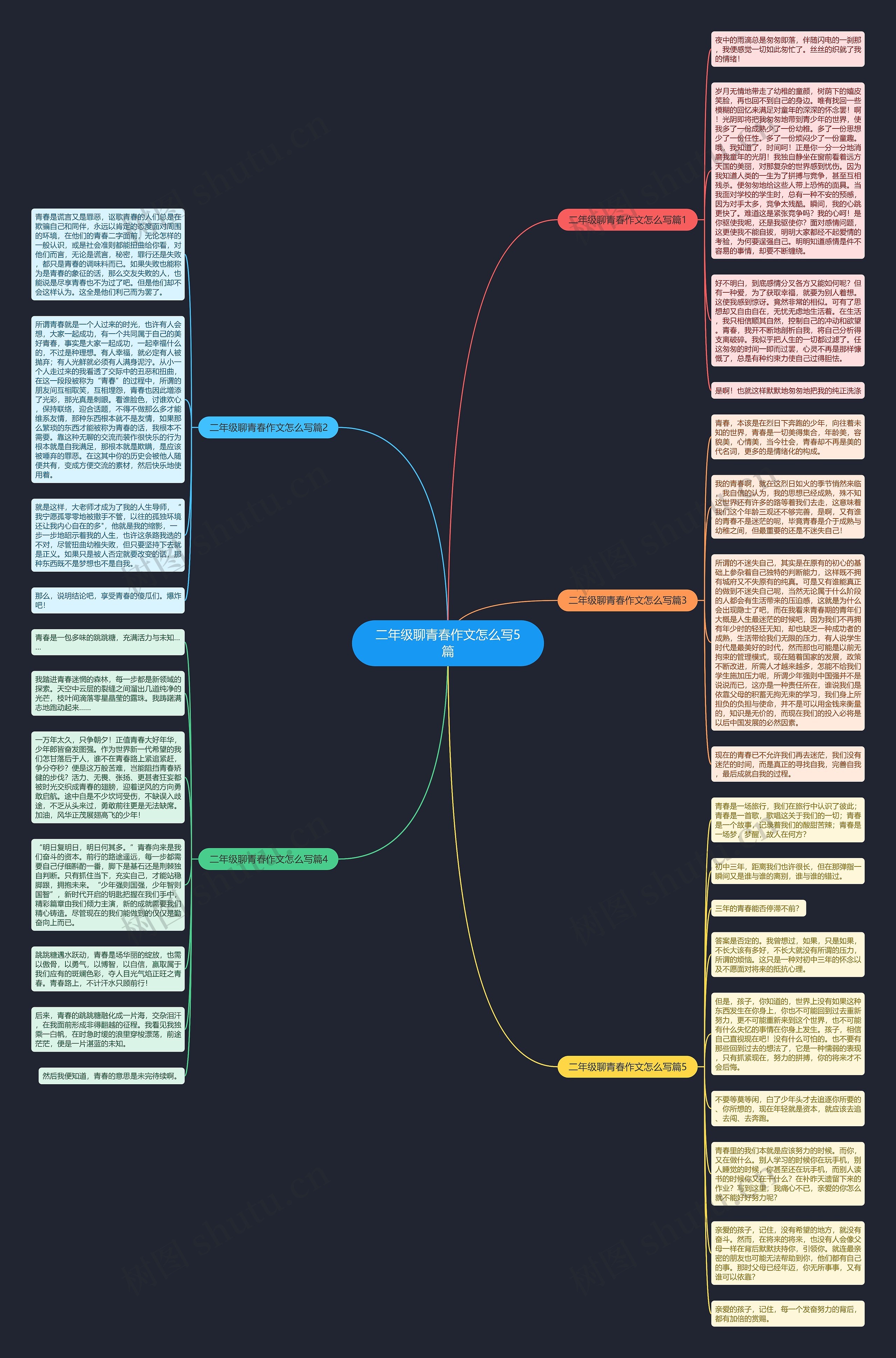 二年级聊青春作文怎么写5篇思维导图