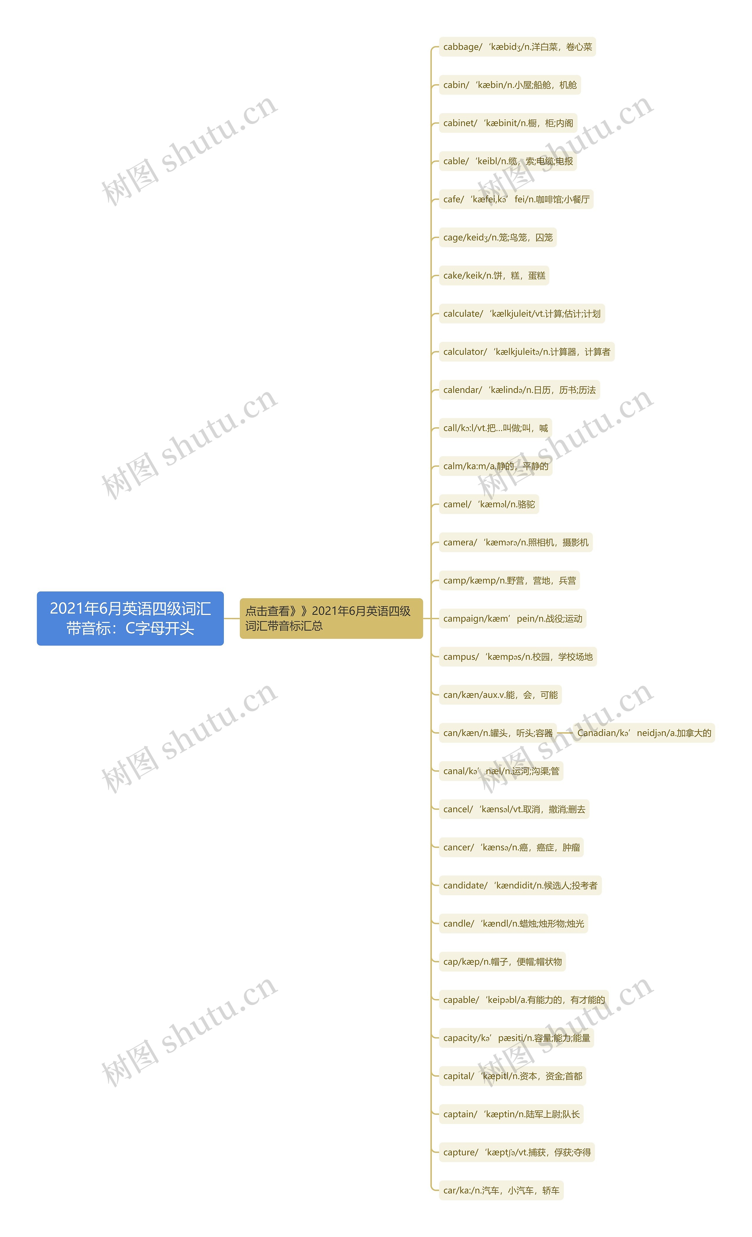 2021年6月英语四级词汇带音标：C字母开头