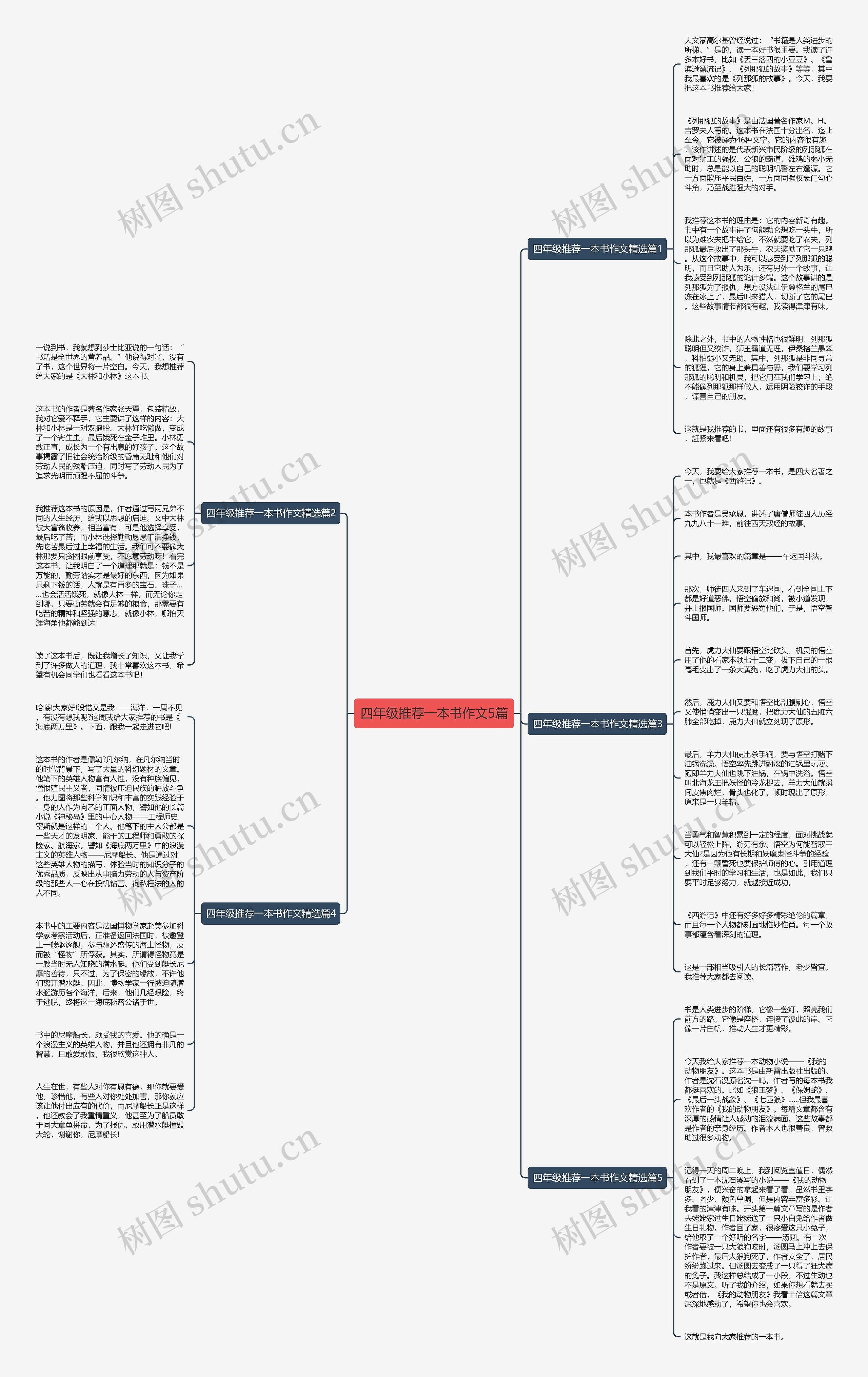 四年级推荐一本书作文5篇思维导图