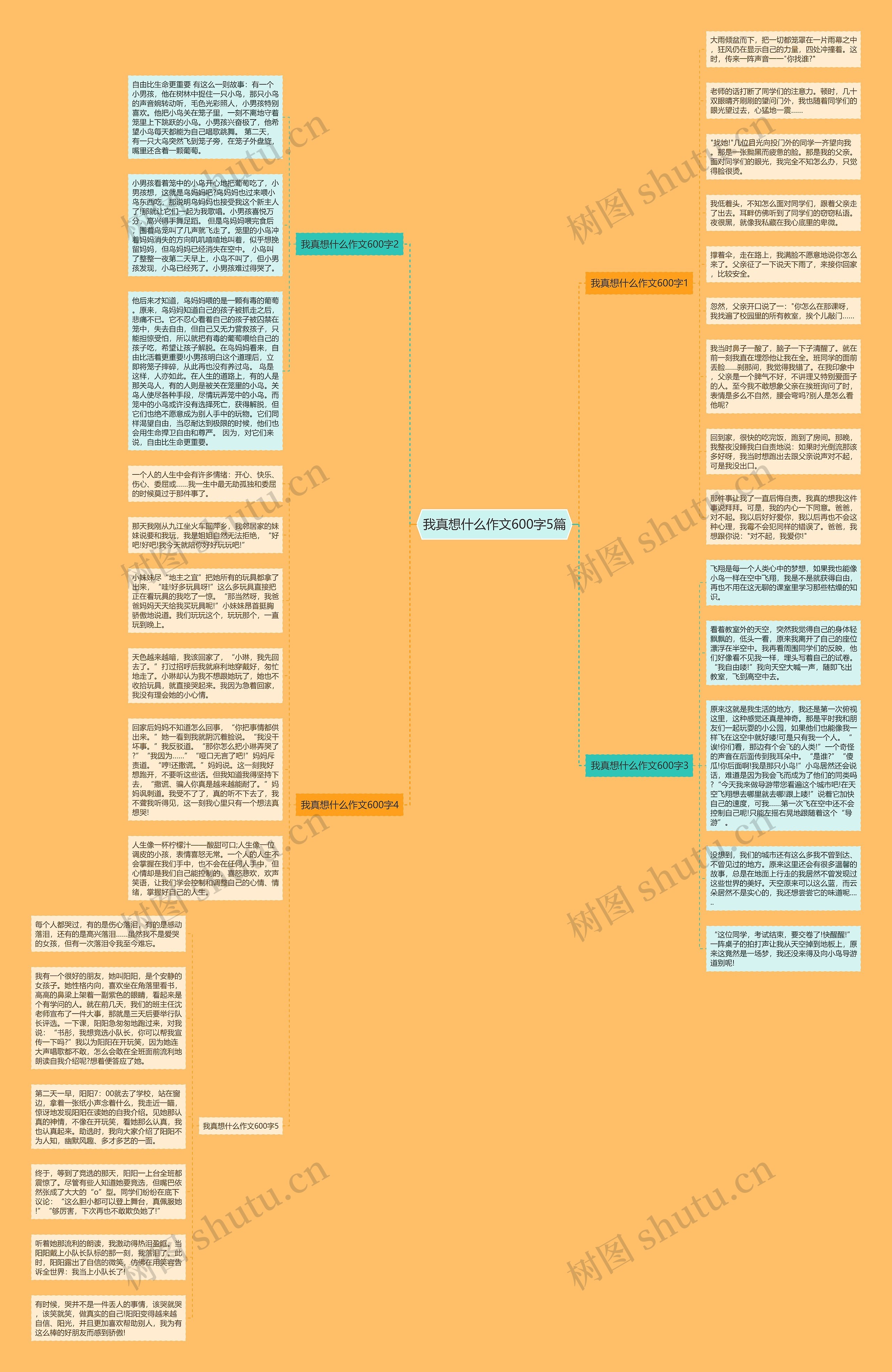 我真想什么作文600字5篇思维导图