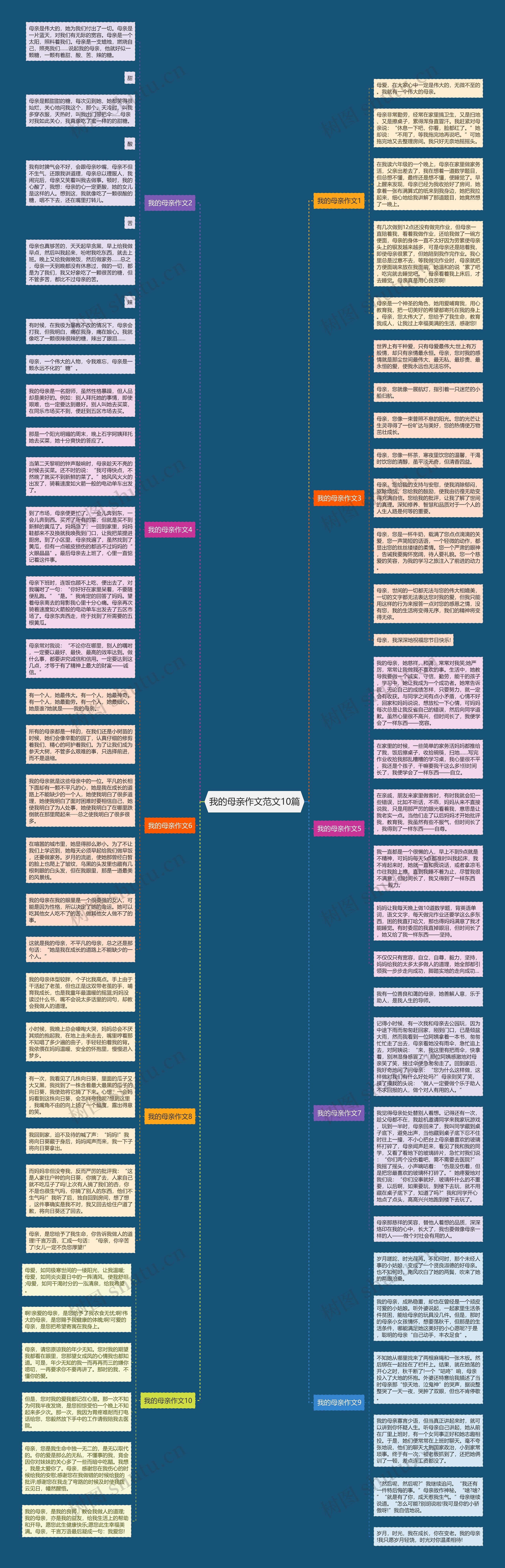 我的母亲作文范文10篇思维导图