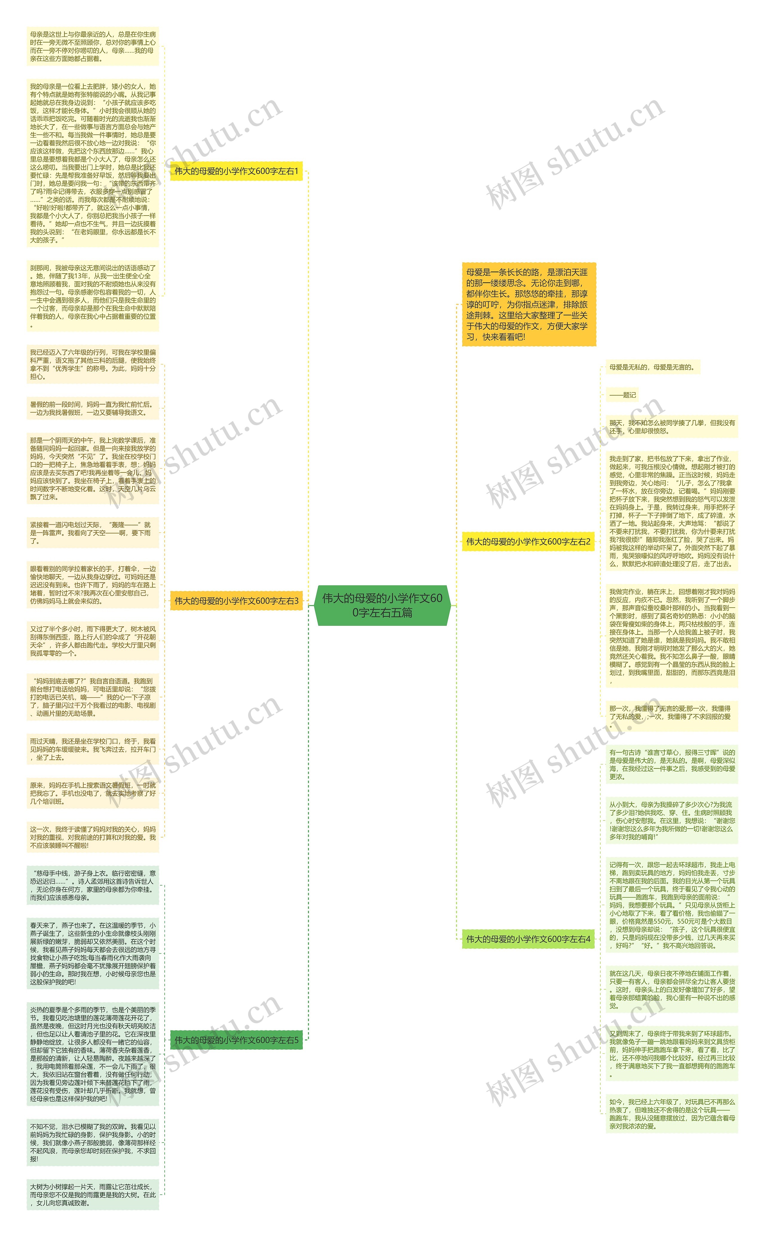 伟大的母爱的小学作文600字左右五篇思维导图