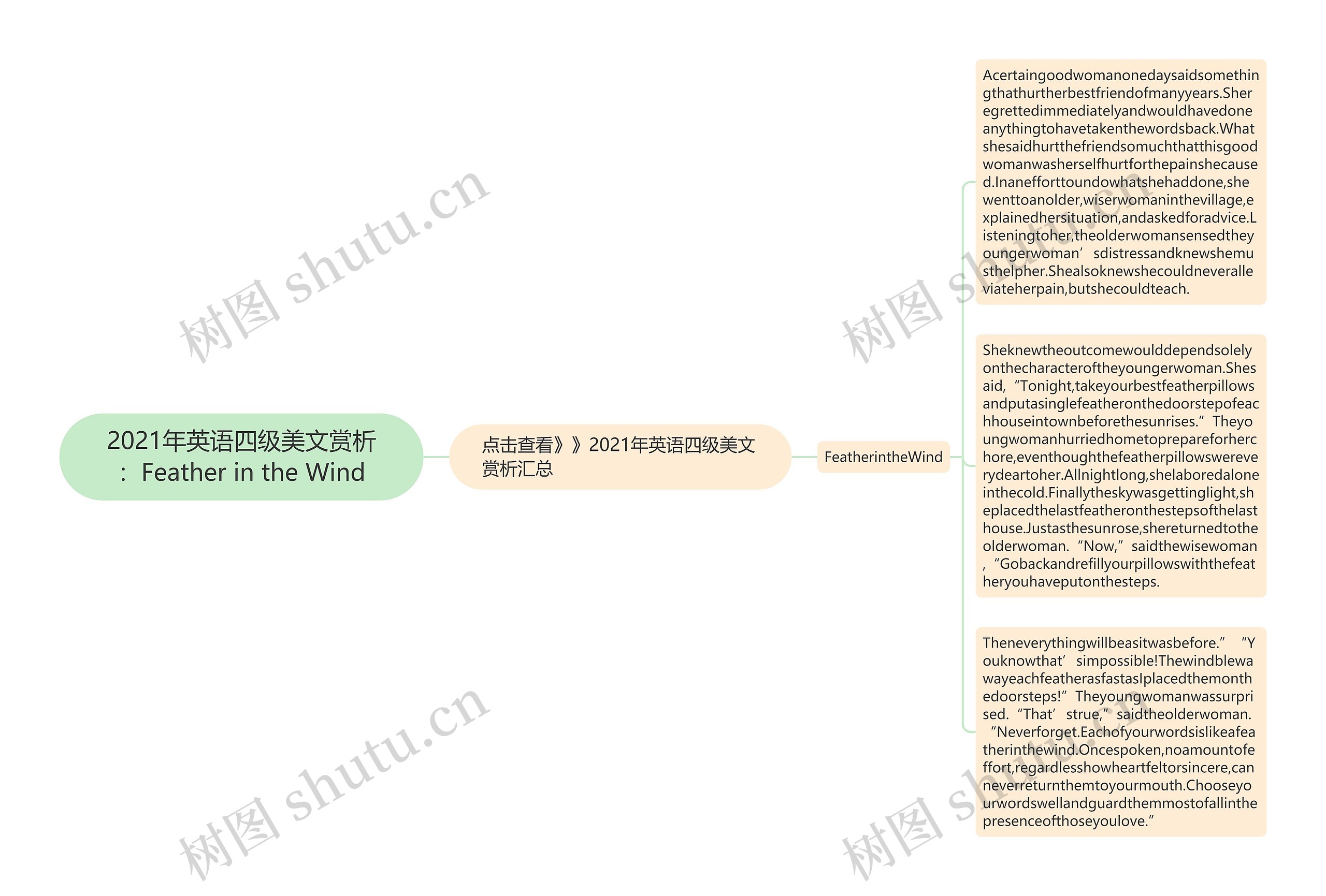 2021年英语四级美文赏析：Feather in the Wind思维导图