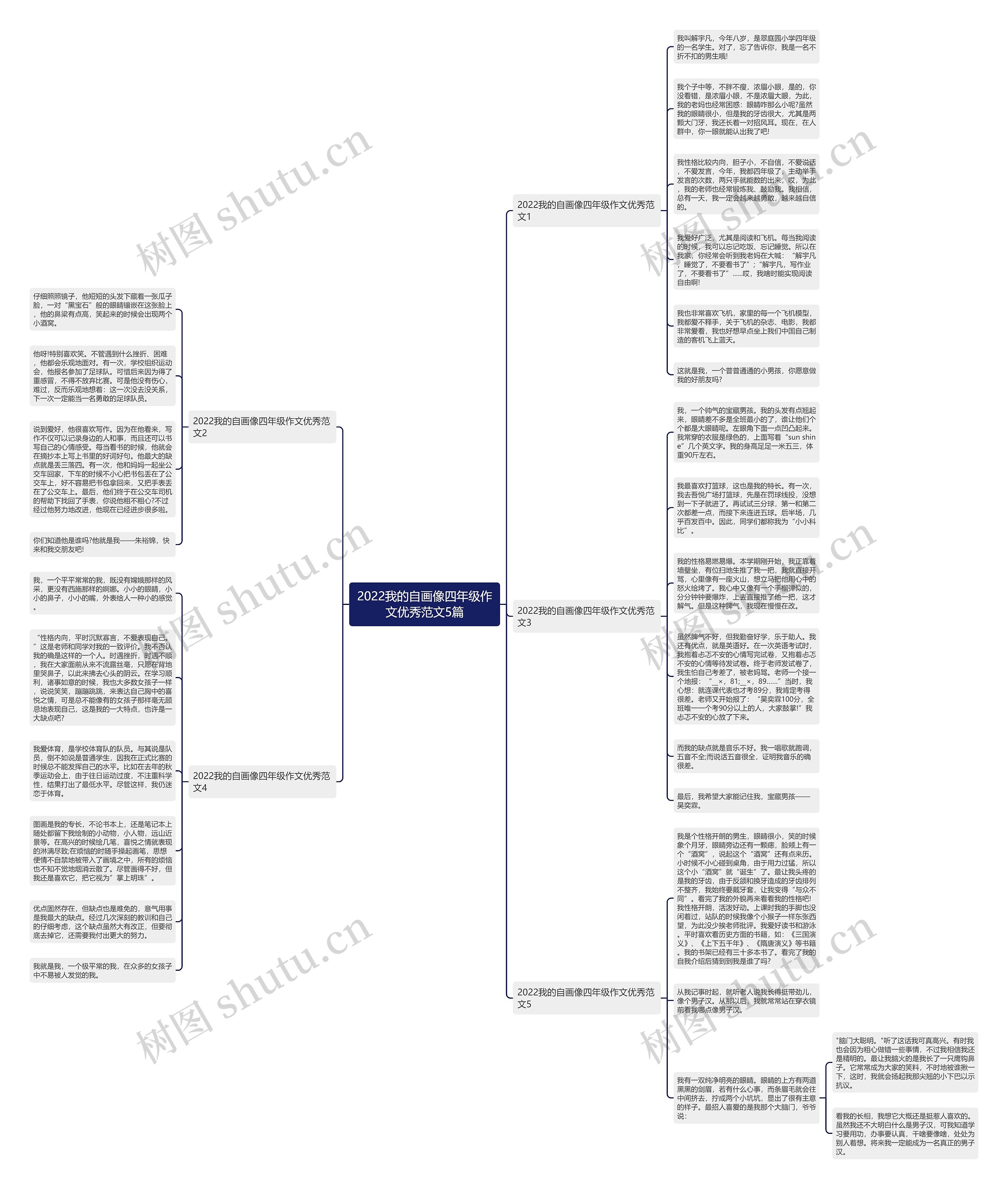 2022我的自画像四年级作文优秀范文5篇思维导图