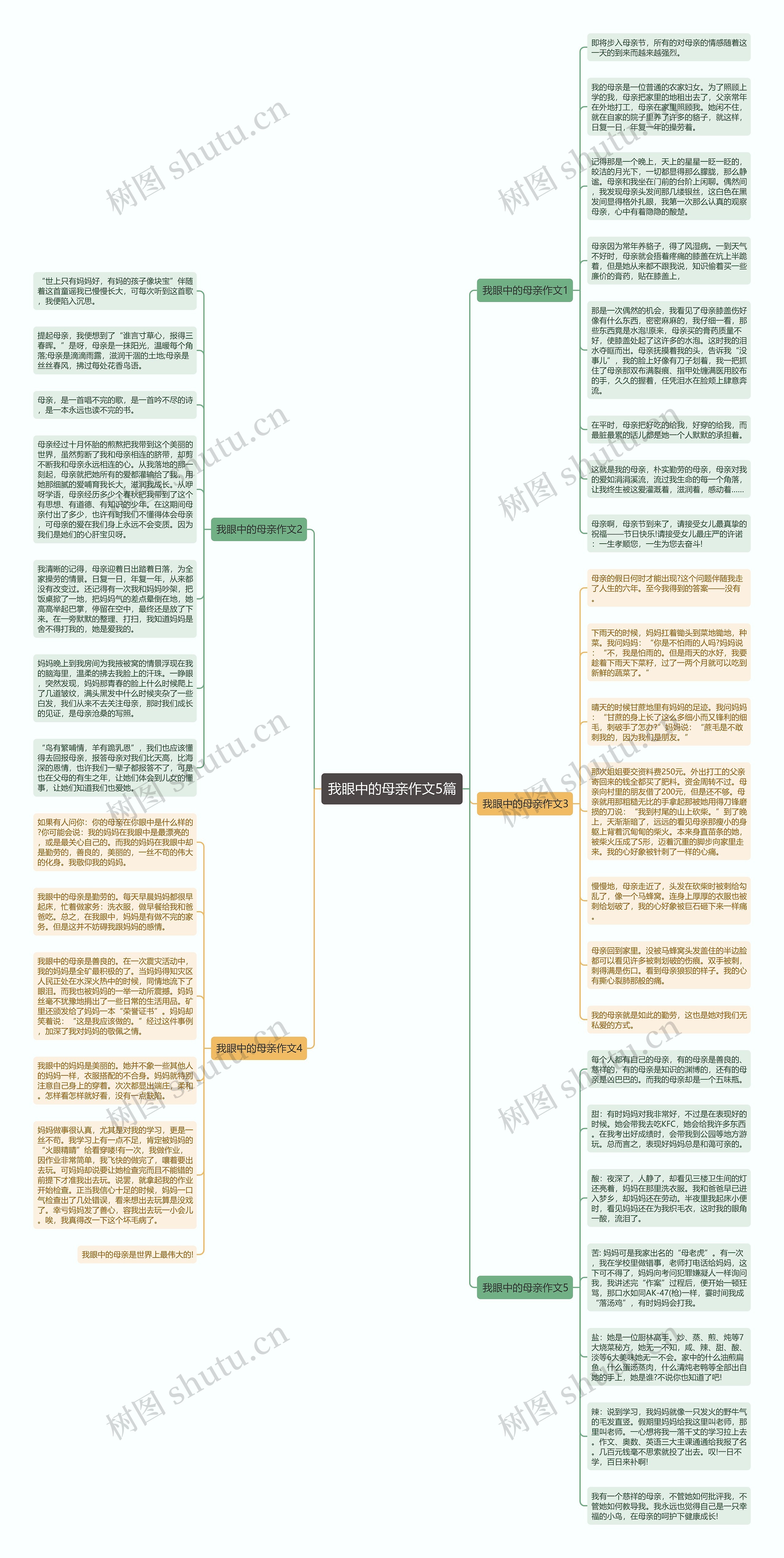 我眼中的母亲作文5篇思维导图