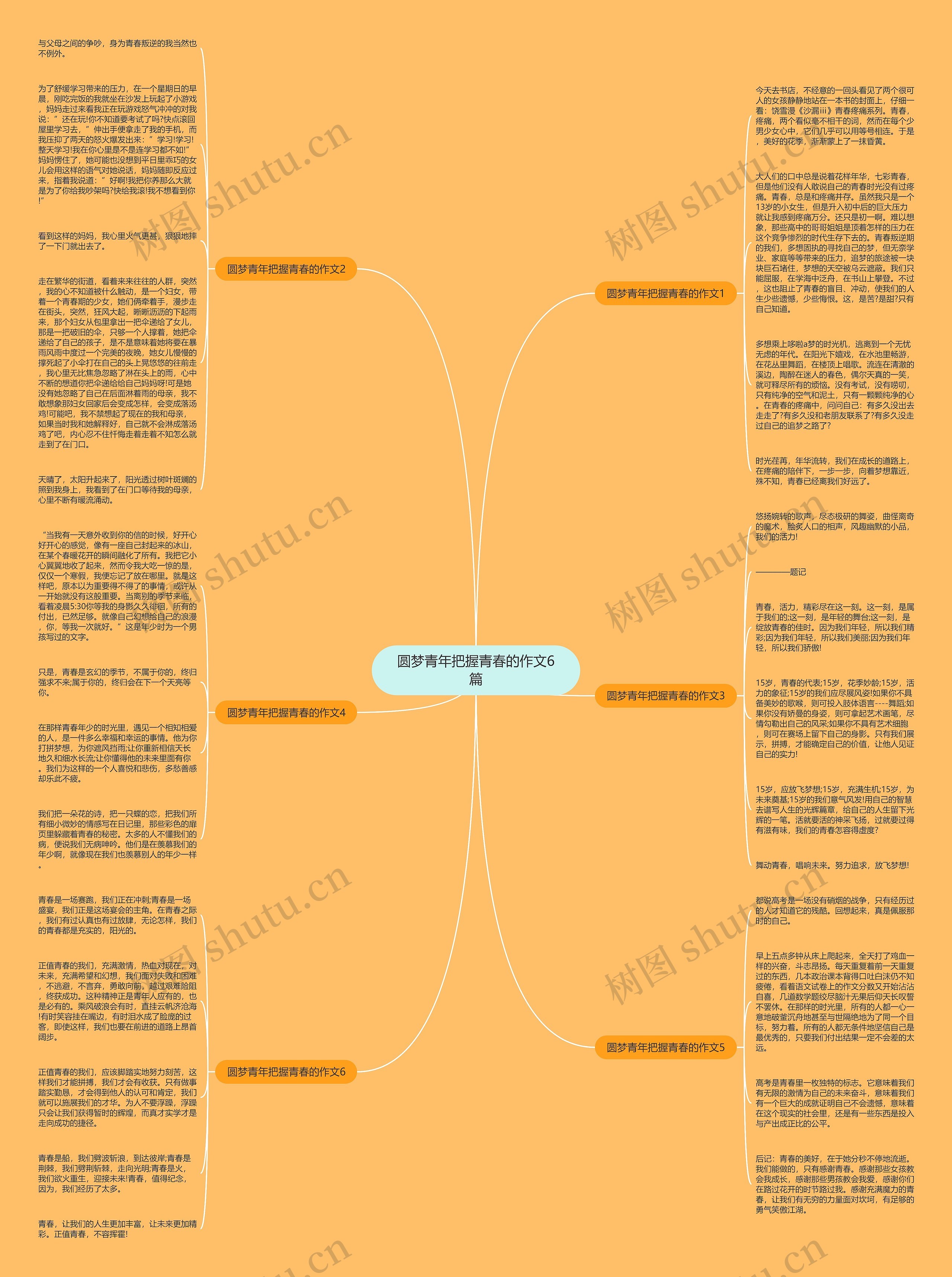 圆梦青年把握青春的作文6篇思维导图