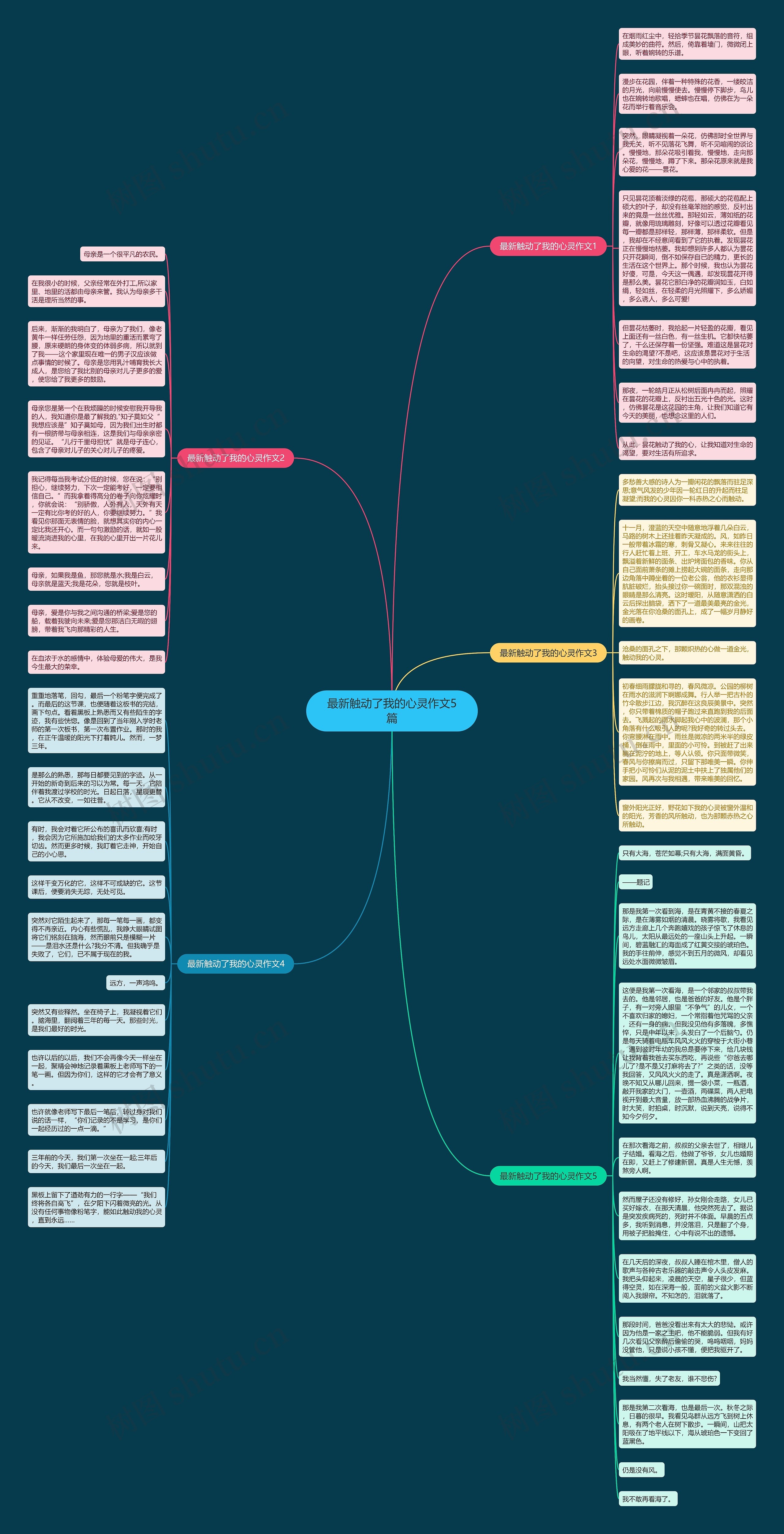 最新触动了我的心灵作文5篇思维导图